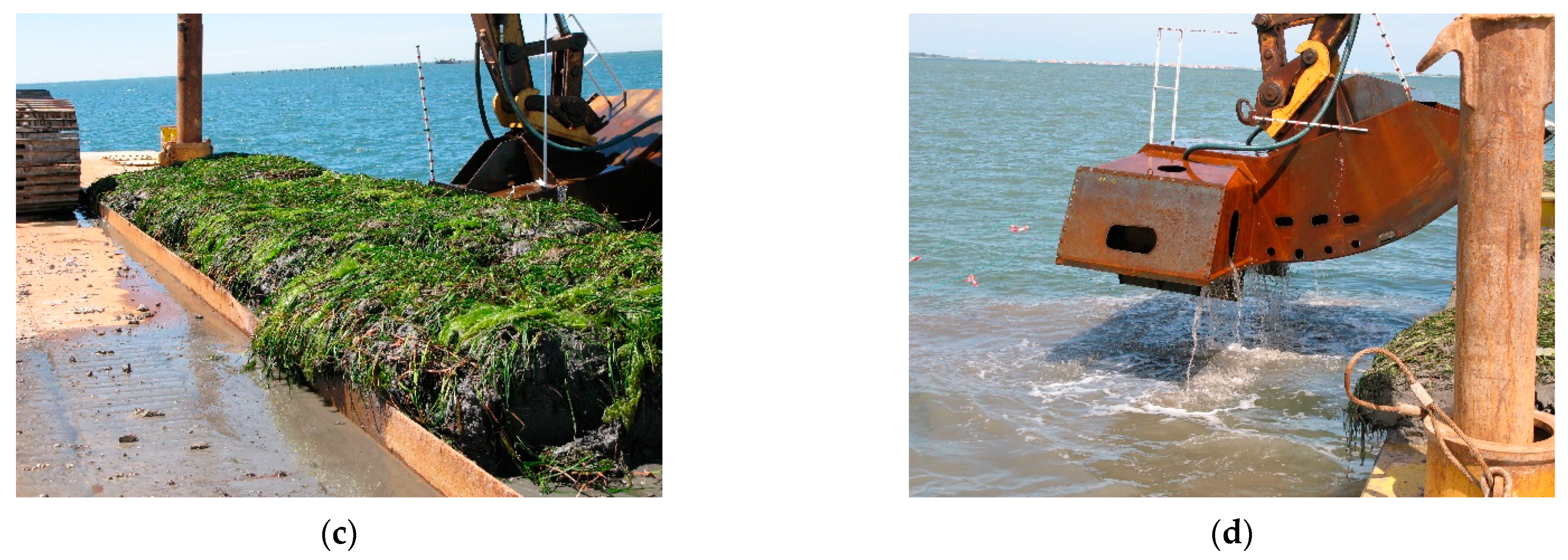 Water 13 02289 g006b