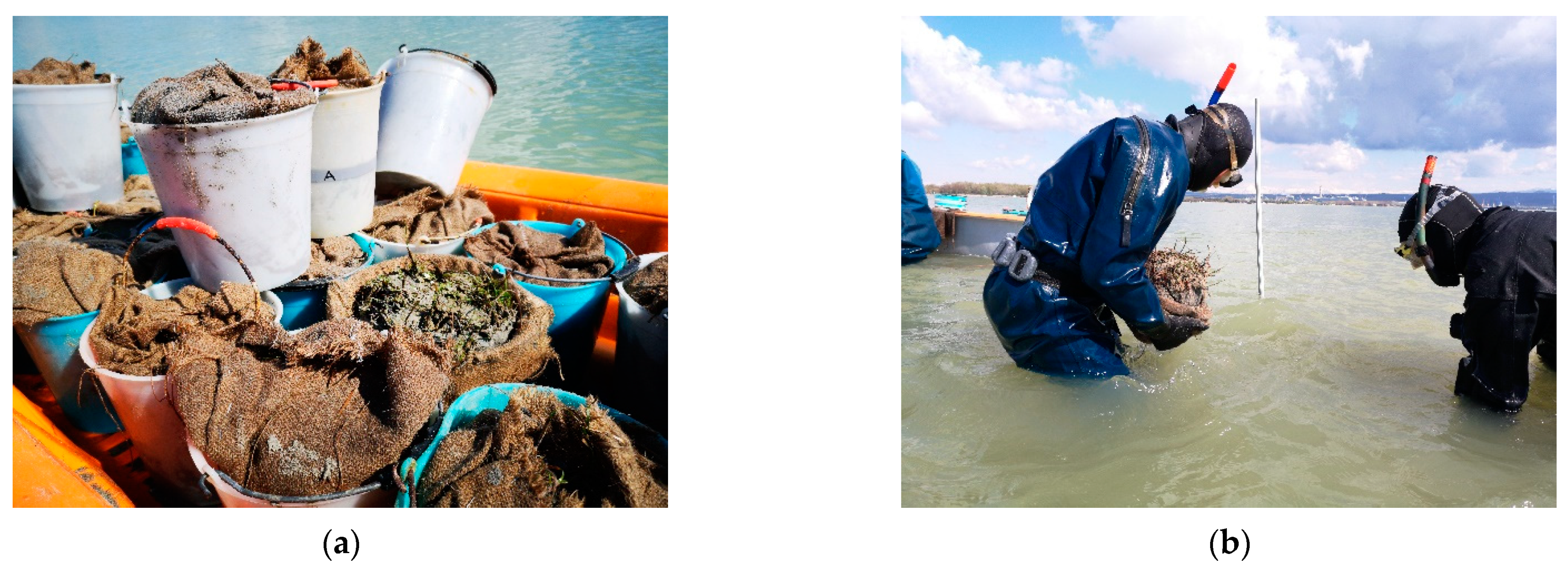 Water 13 02289 g009a