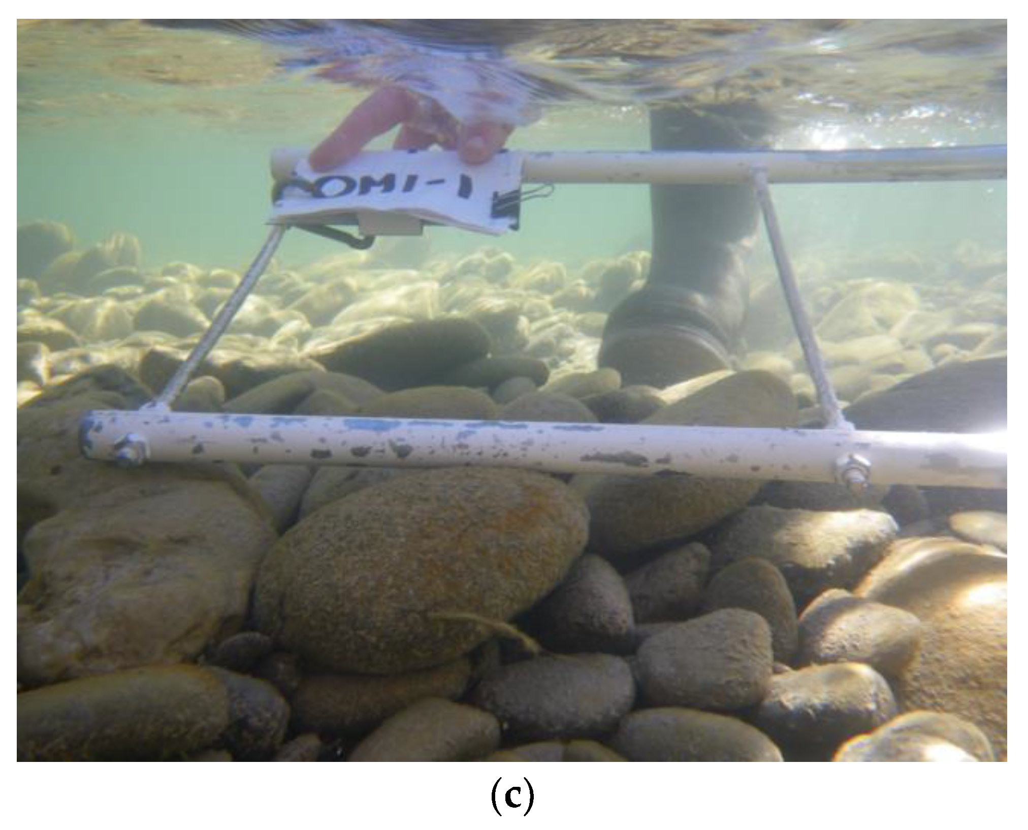 Water 13 02319 g003b