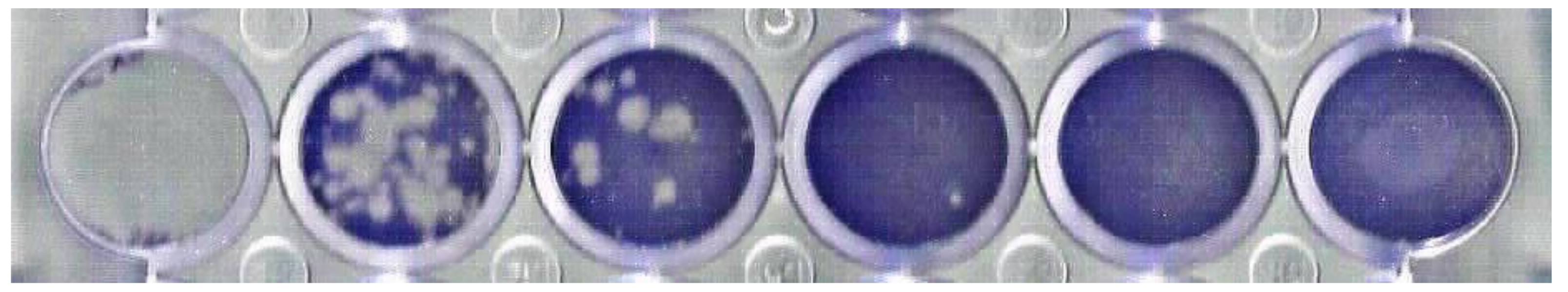 Water 13 02834 g003 Water 13 02834 g003