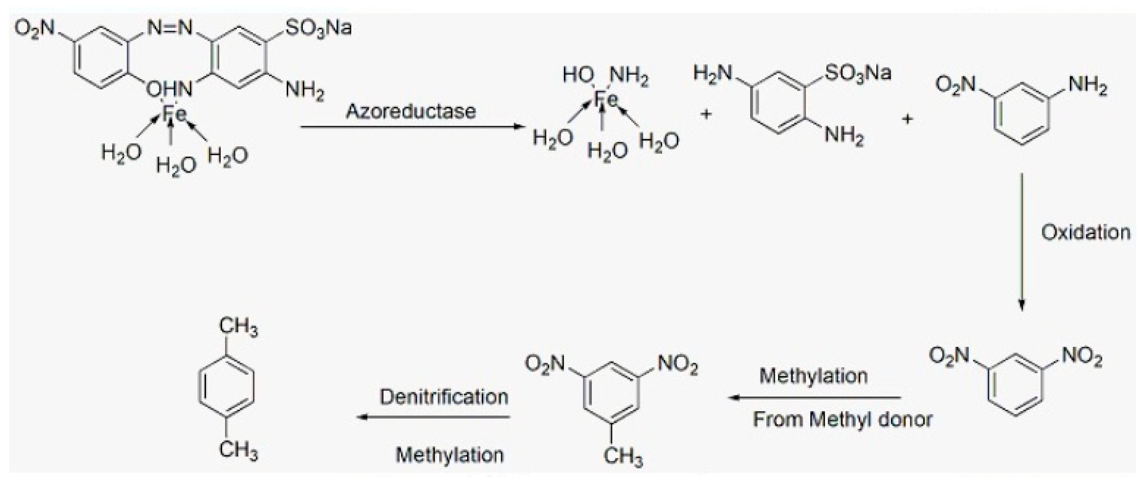 Water 13 02959 sch001