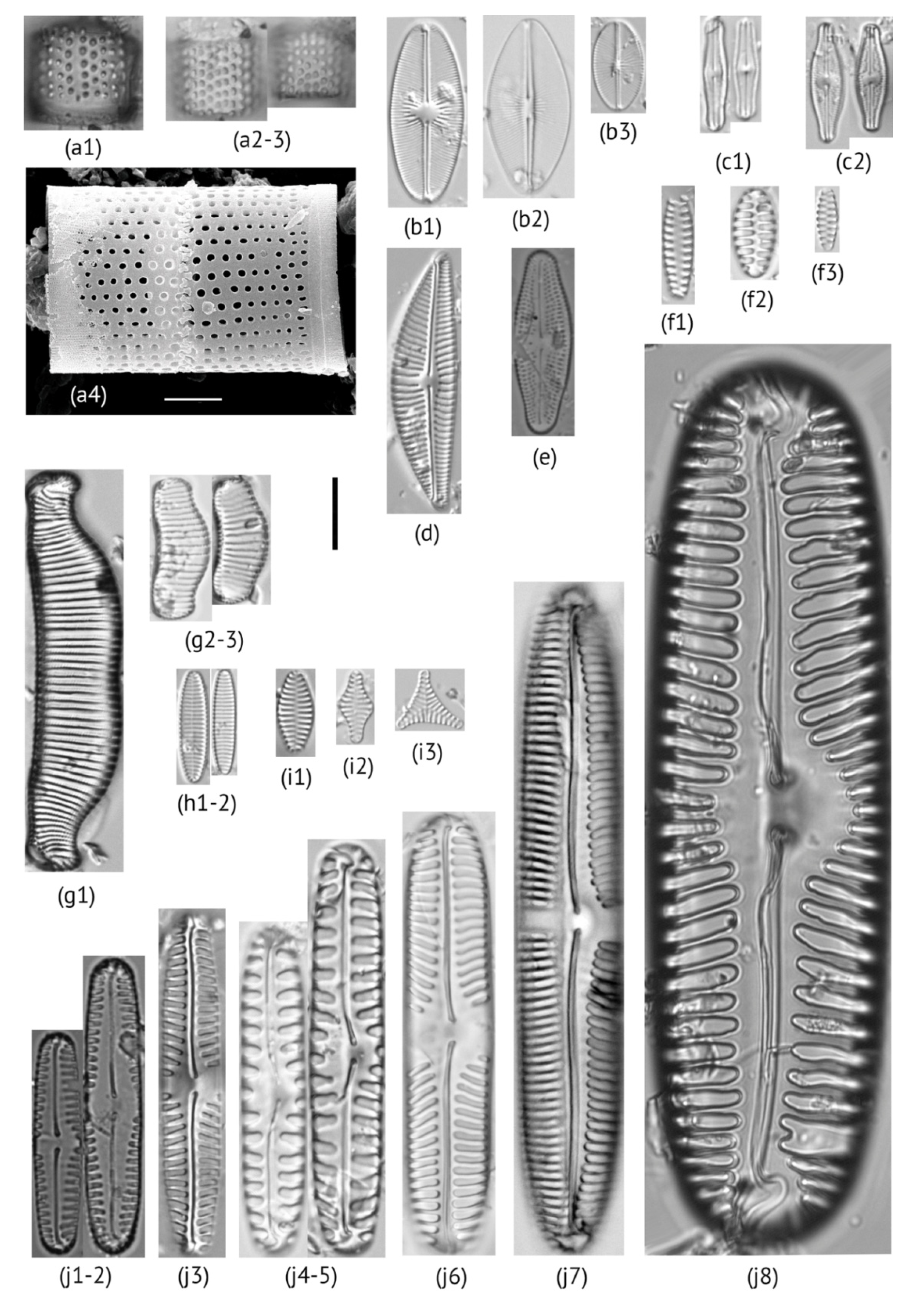 Water 13 03134 g002 Water 13 03134 g002