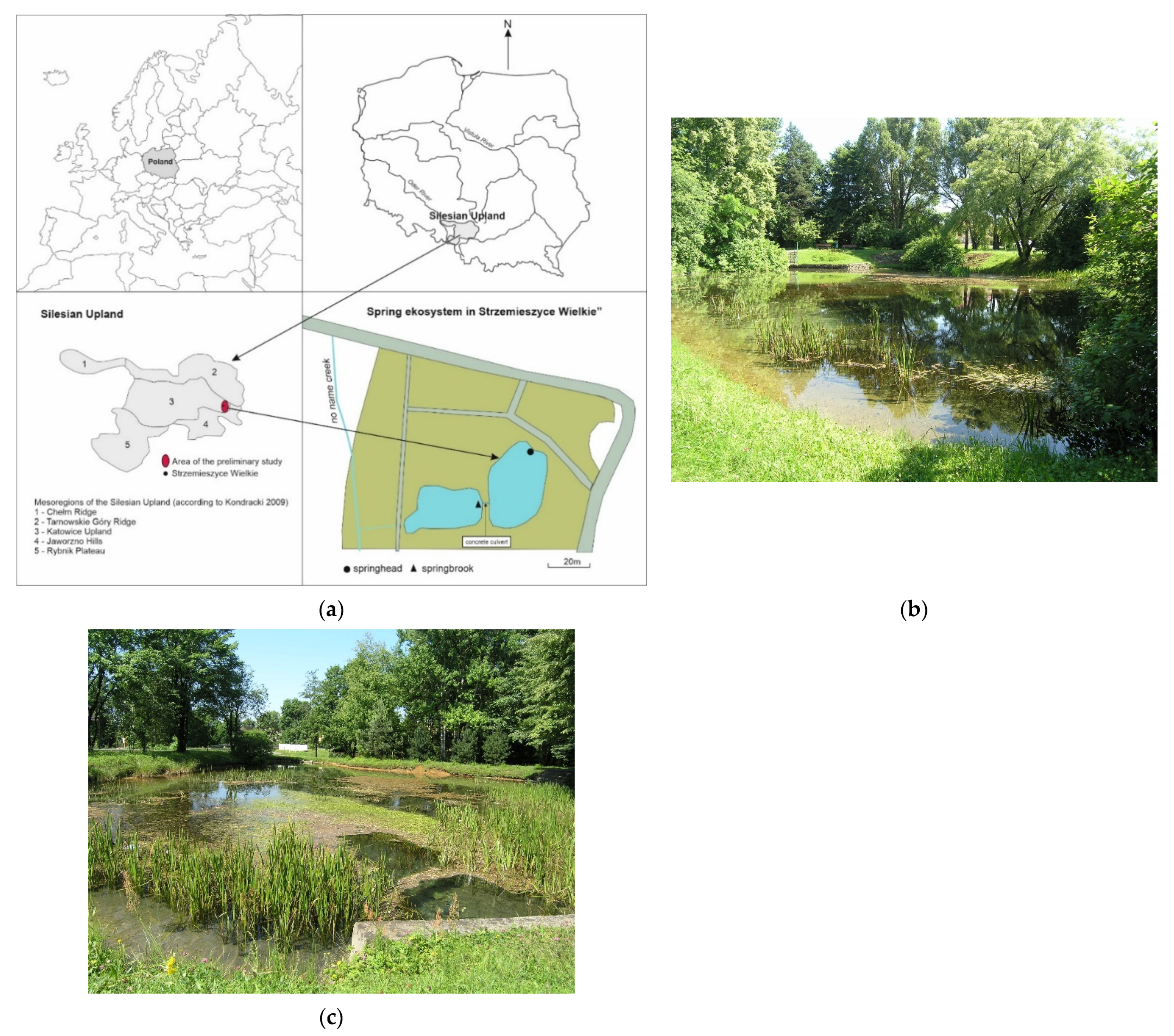 Water 13 03209 g001 Water 13 03209 g001