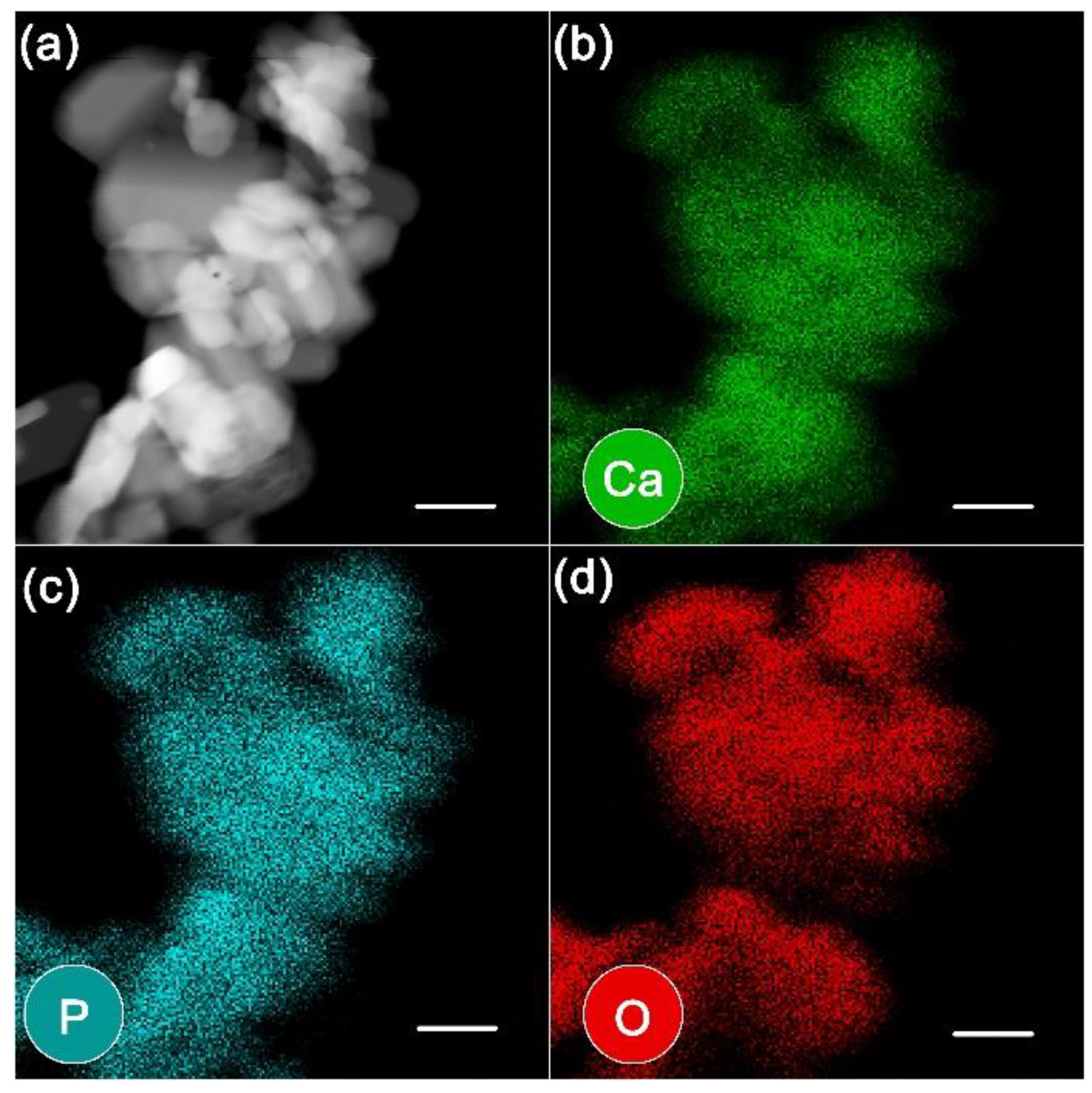 Water 13 03302 g002 Water 13 03302 g002