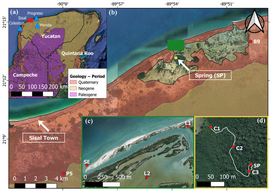 Water 13 03431 g001 550