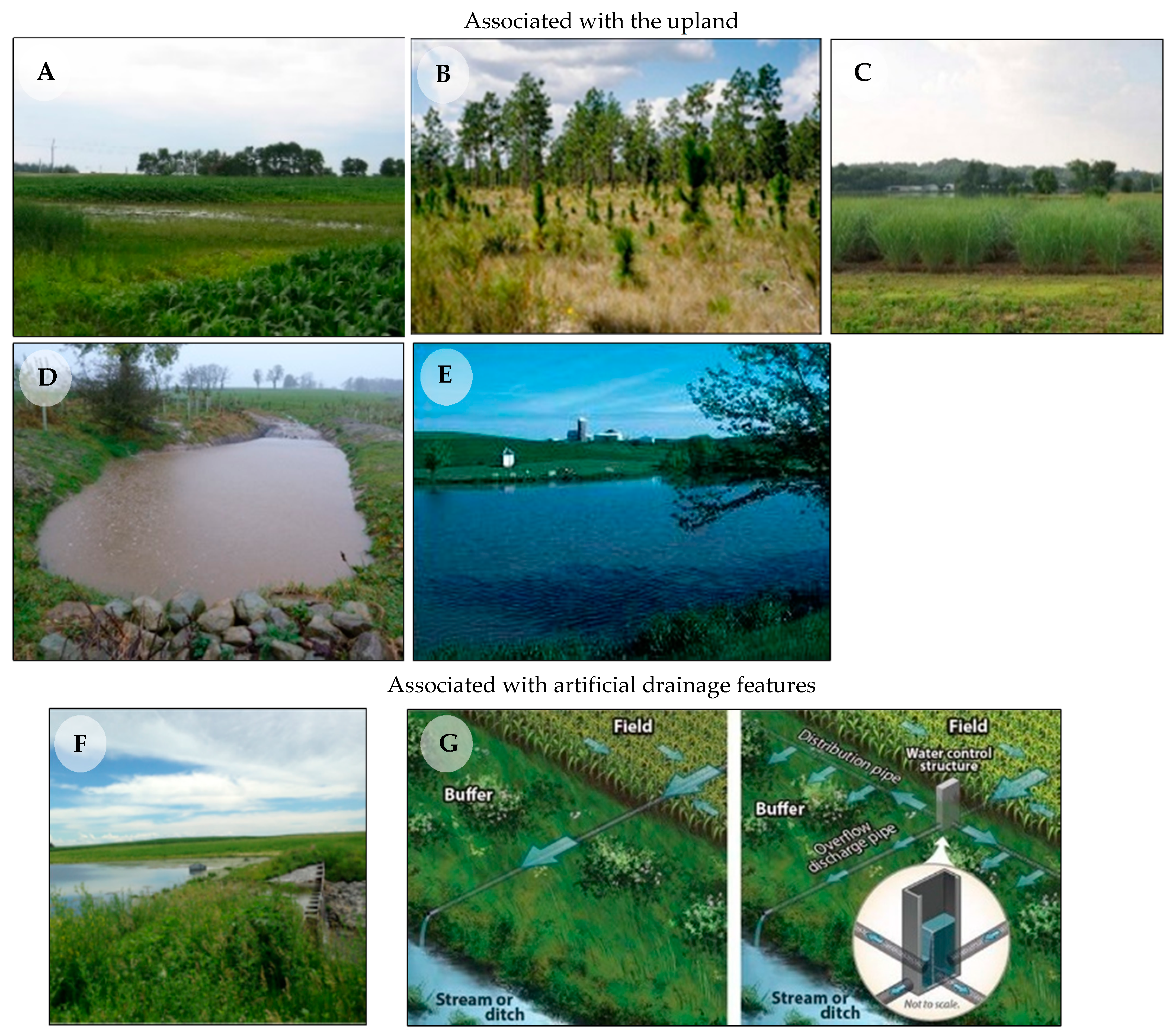 Water 13 03579 g002a