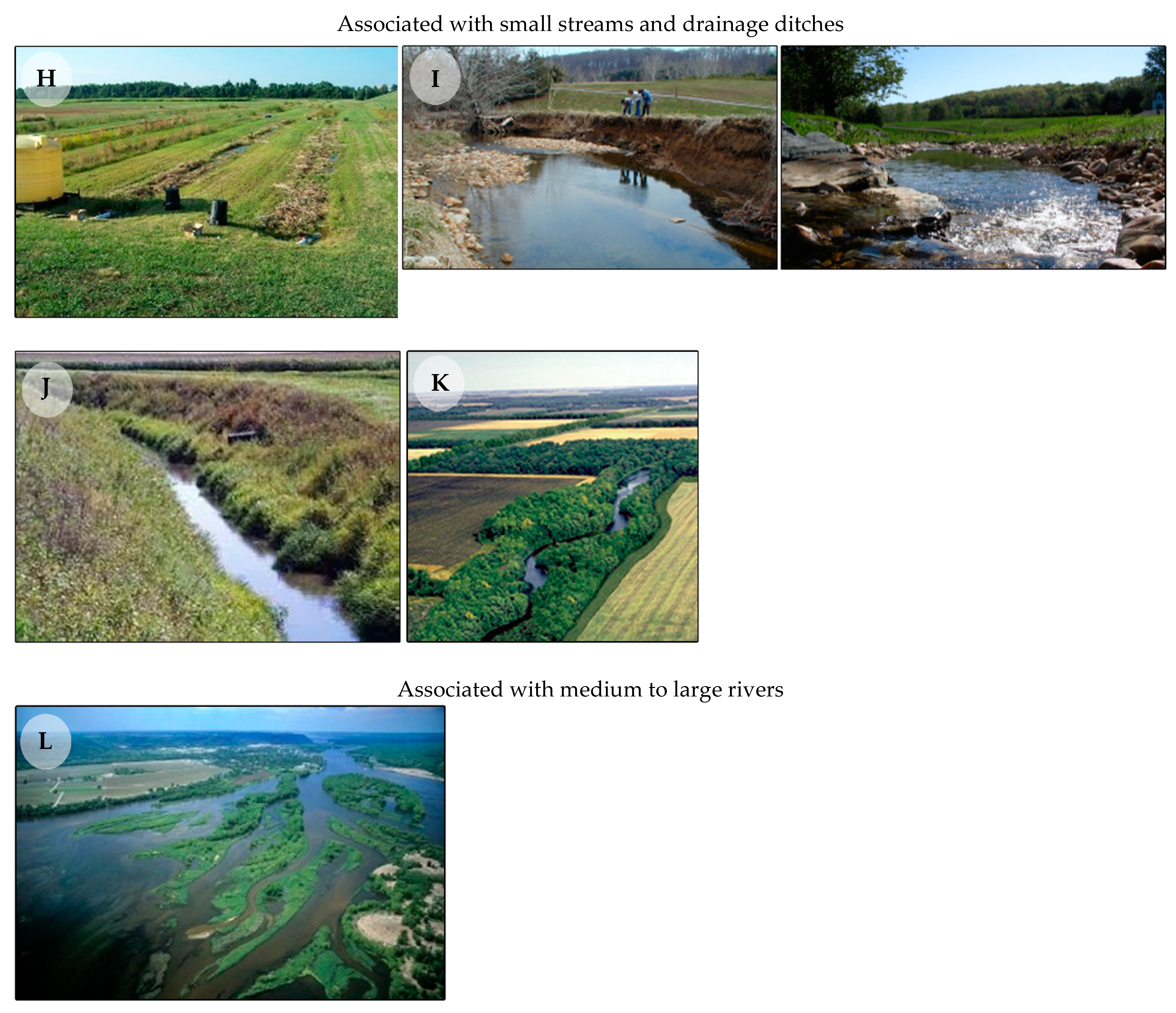 Water 13 03579 g002b