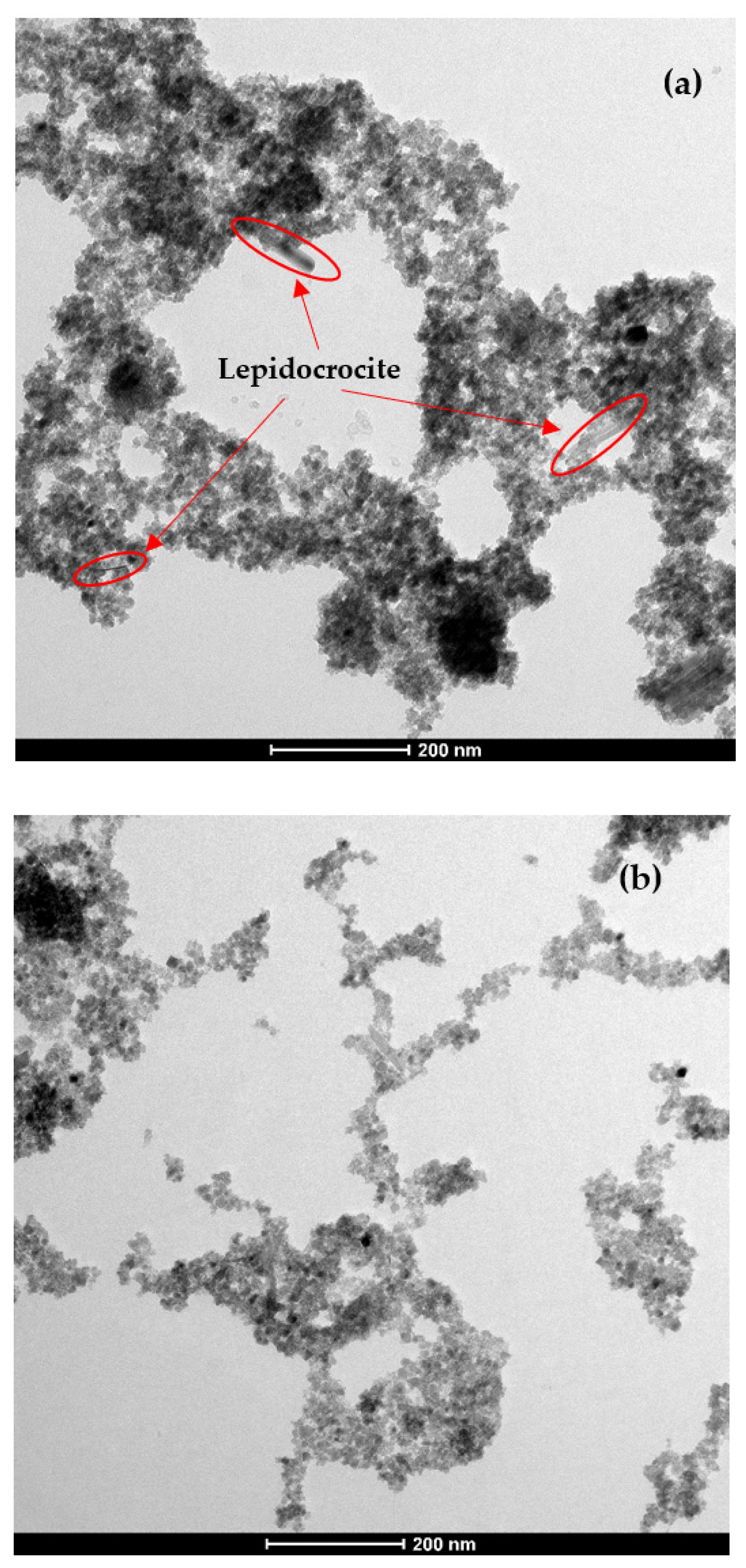 Water 13 03653 g005a