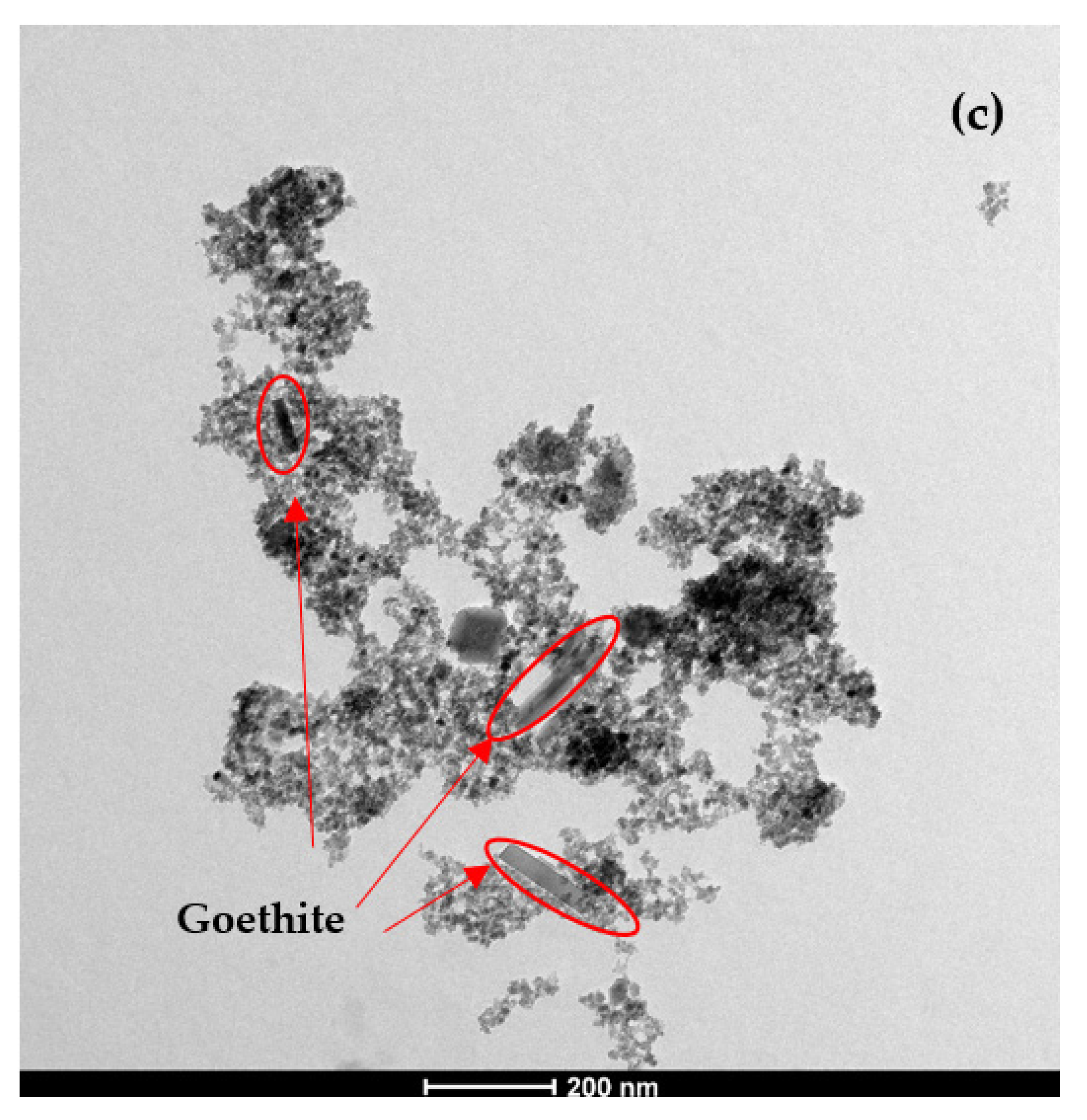 Water 13 03653 g005b