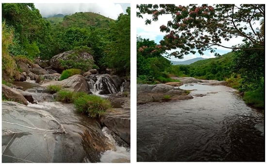 Water 14 00184 g0a1 550