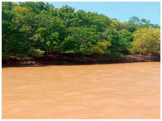 Water 14 00184 g0a3 550