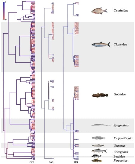 Water 14 00437 g0a2 550