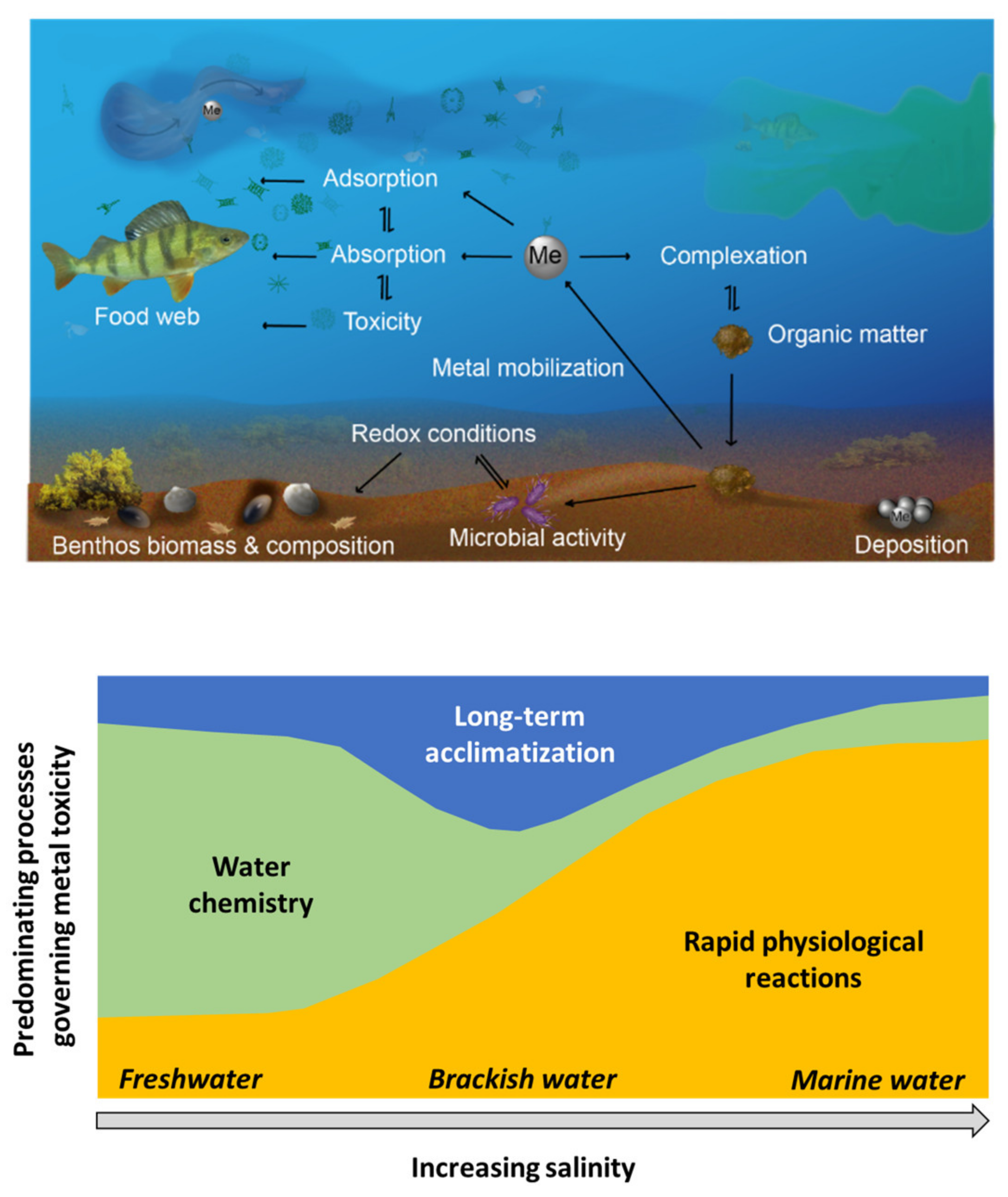 Water 14 00847 g001 Water 14 00847 g001