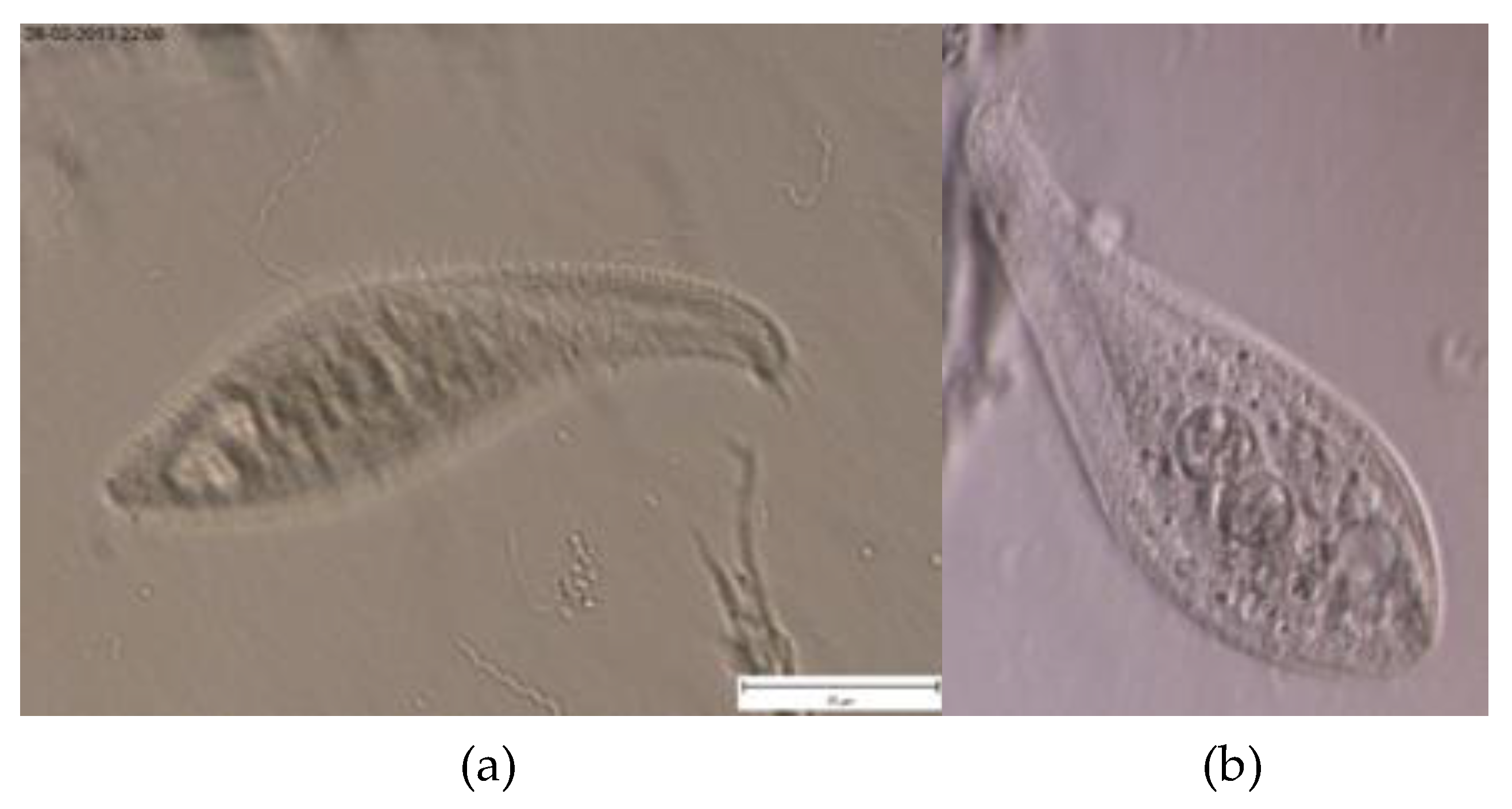 Water 14 00898 g002 Water 14 00898 g002