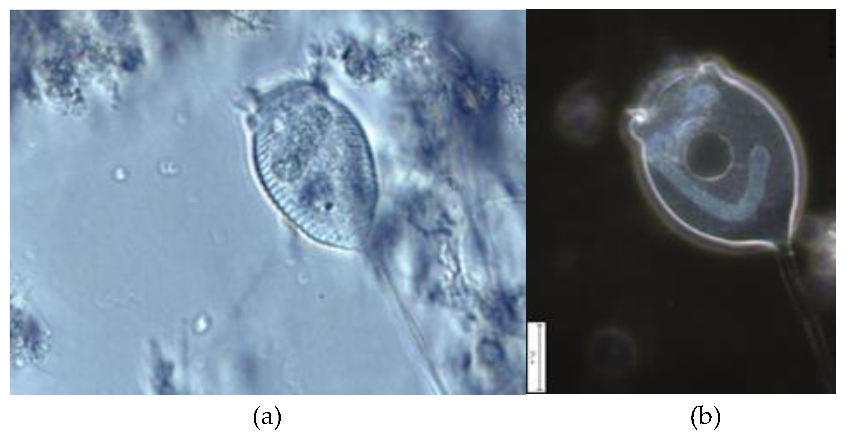 Water 14 00898 g003 Water 14 00898 g003