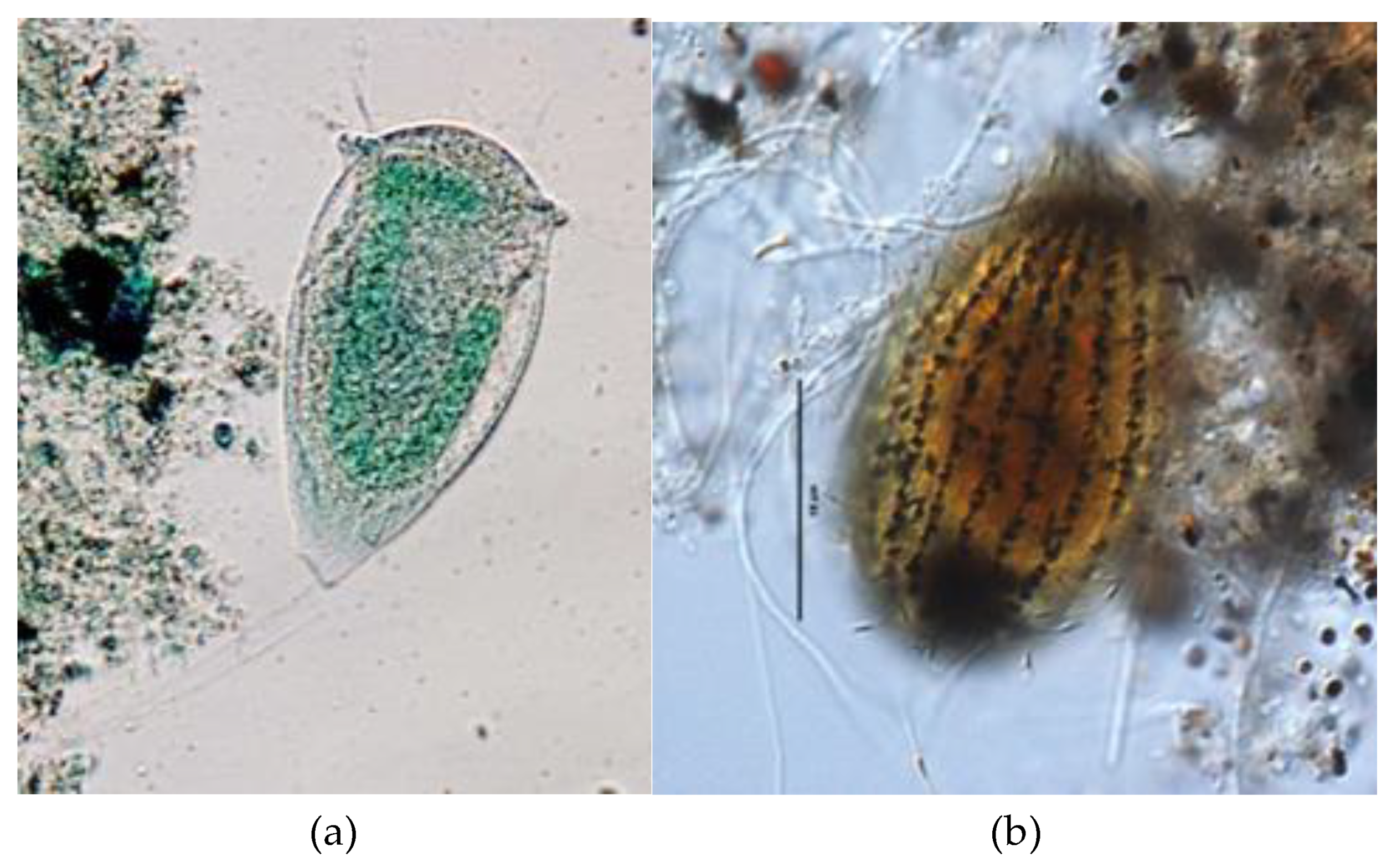 Water 14 00898 g004 Water 14 00898 g004