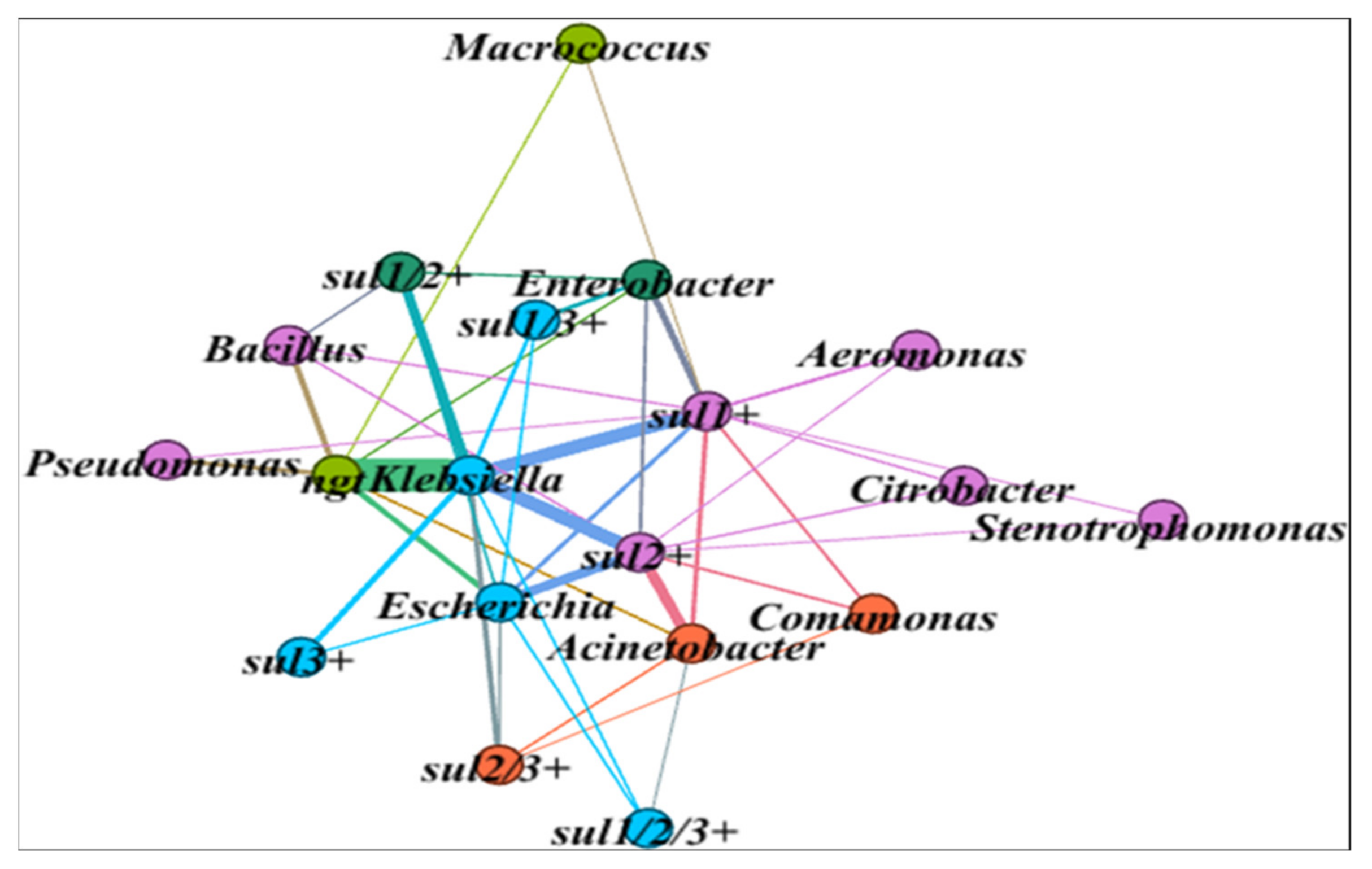 Water 14 01018 g007 Water 14 01018 g007