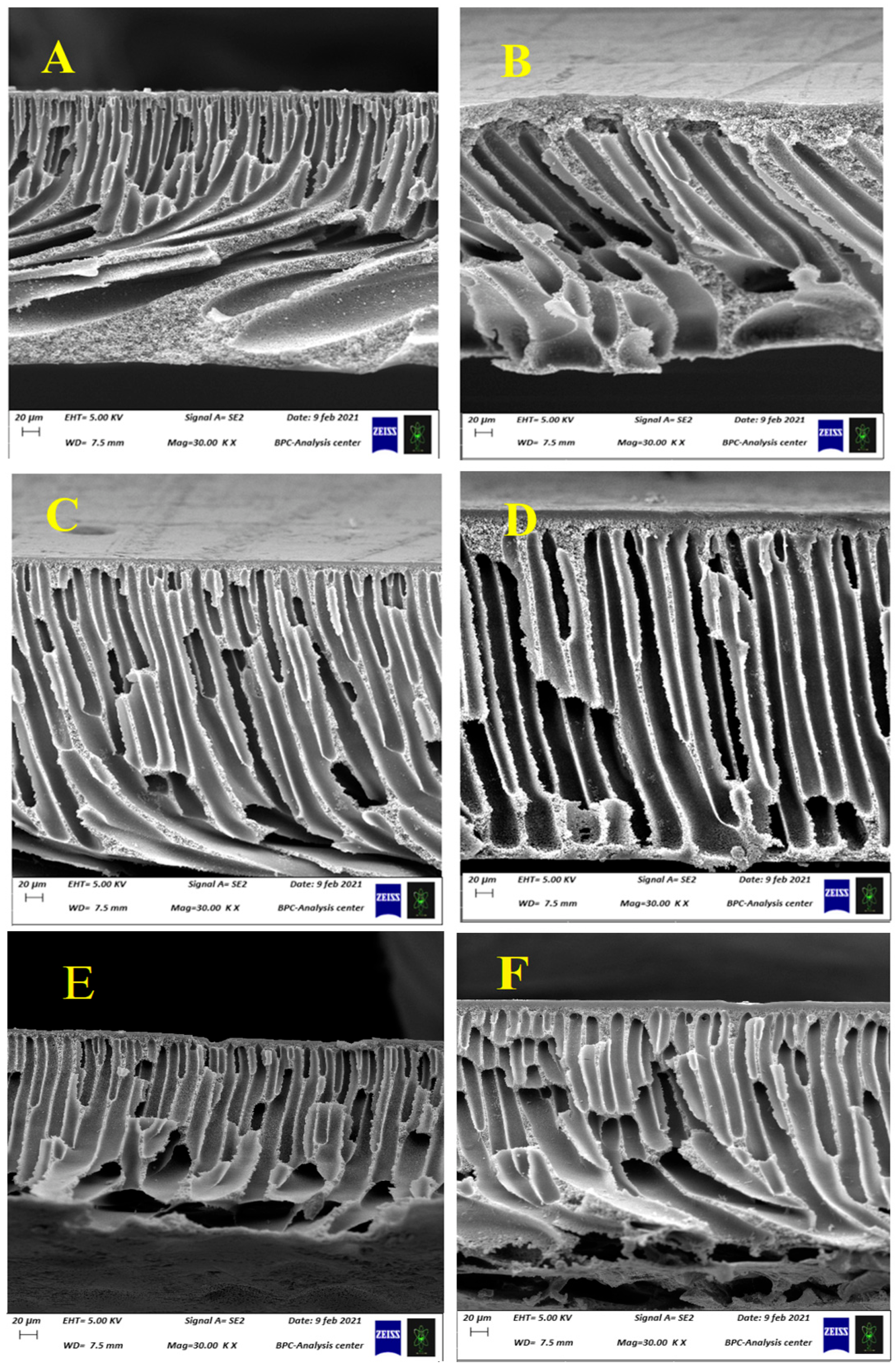 Water 14 01207 g006a