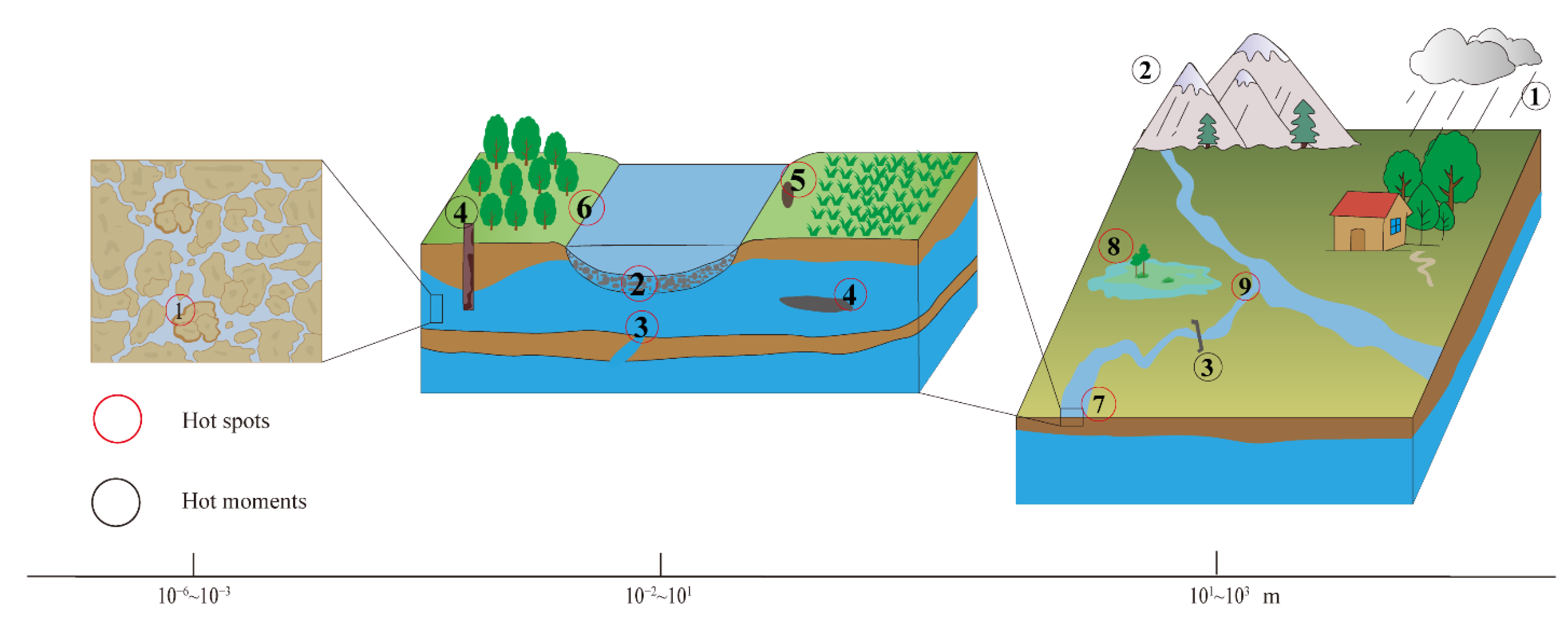 Water 14 01936 g003