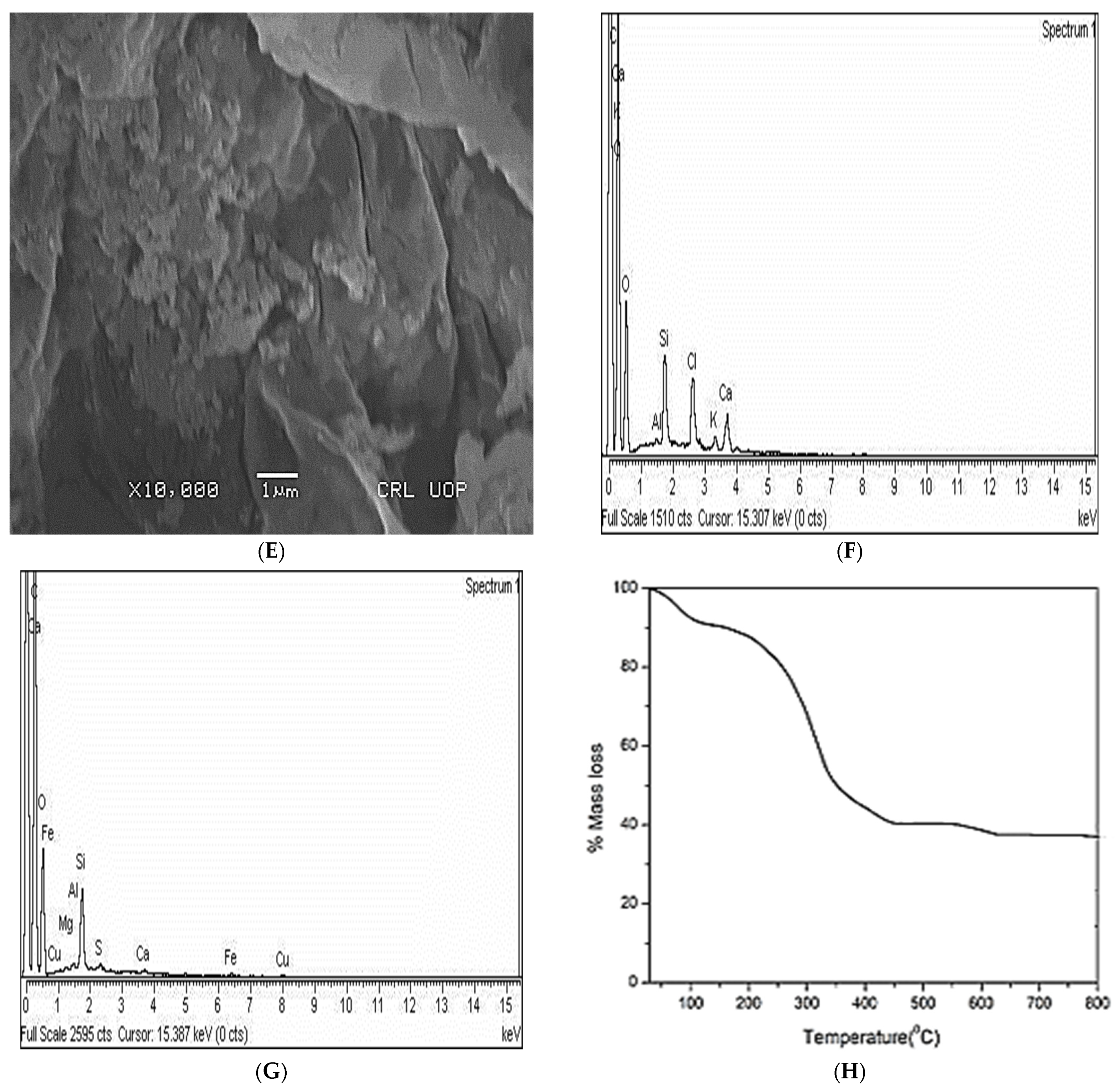 Water 14 02004 g001b