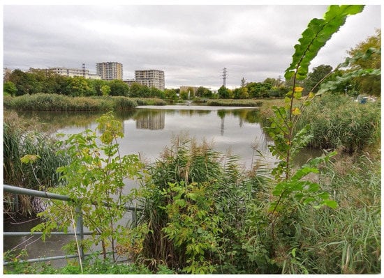 Water 14 02109 g0a13