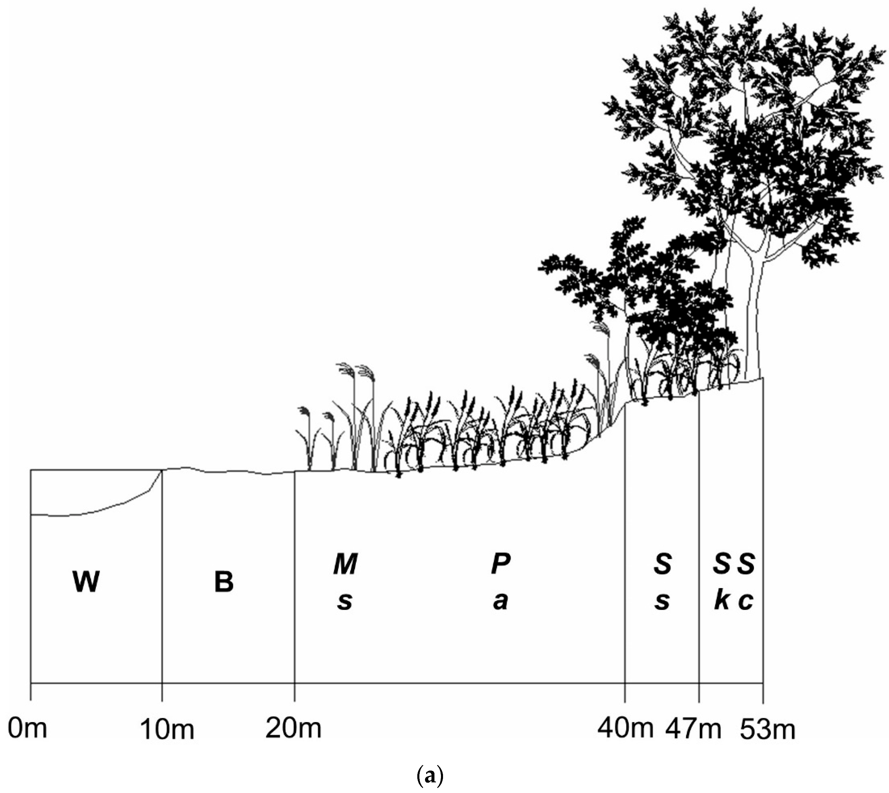 Water 14 02739 g003a Water 14 02739 g003a