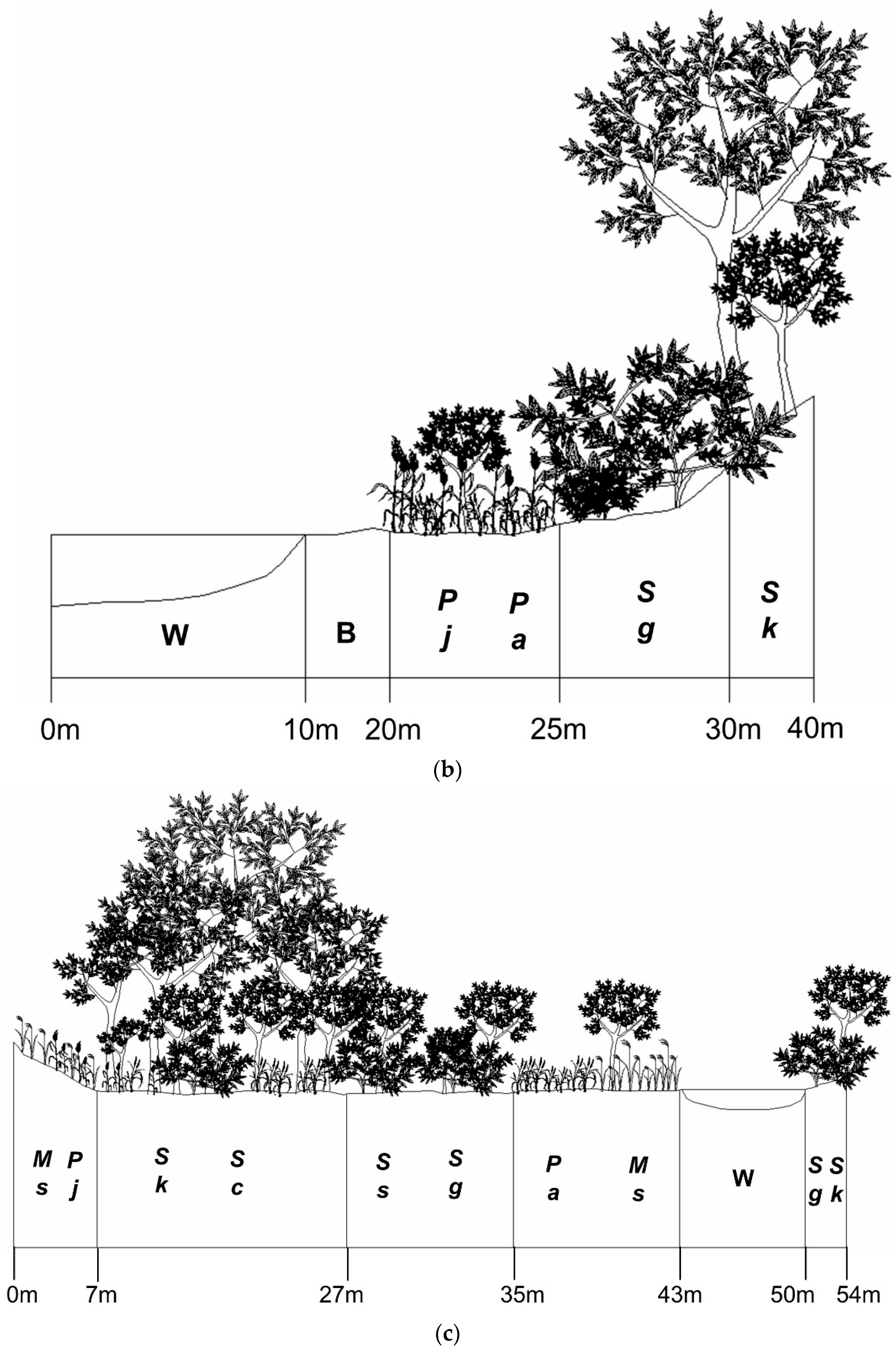 Water 14 02739 g003b Water 14 02739 g003b