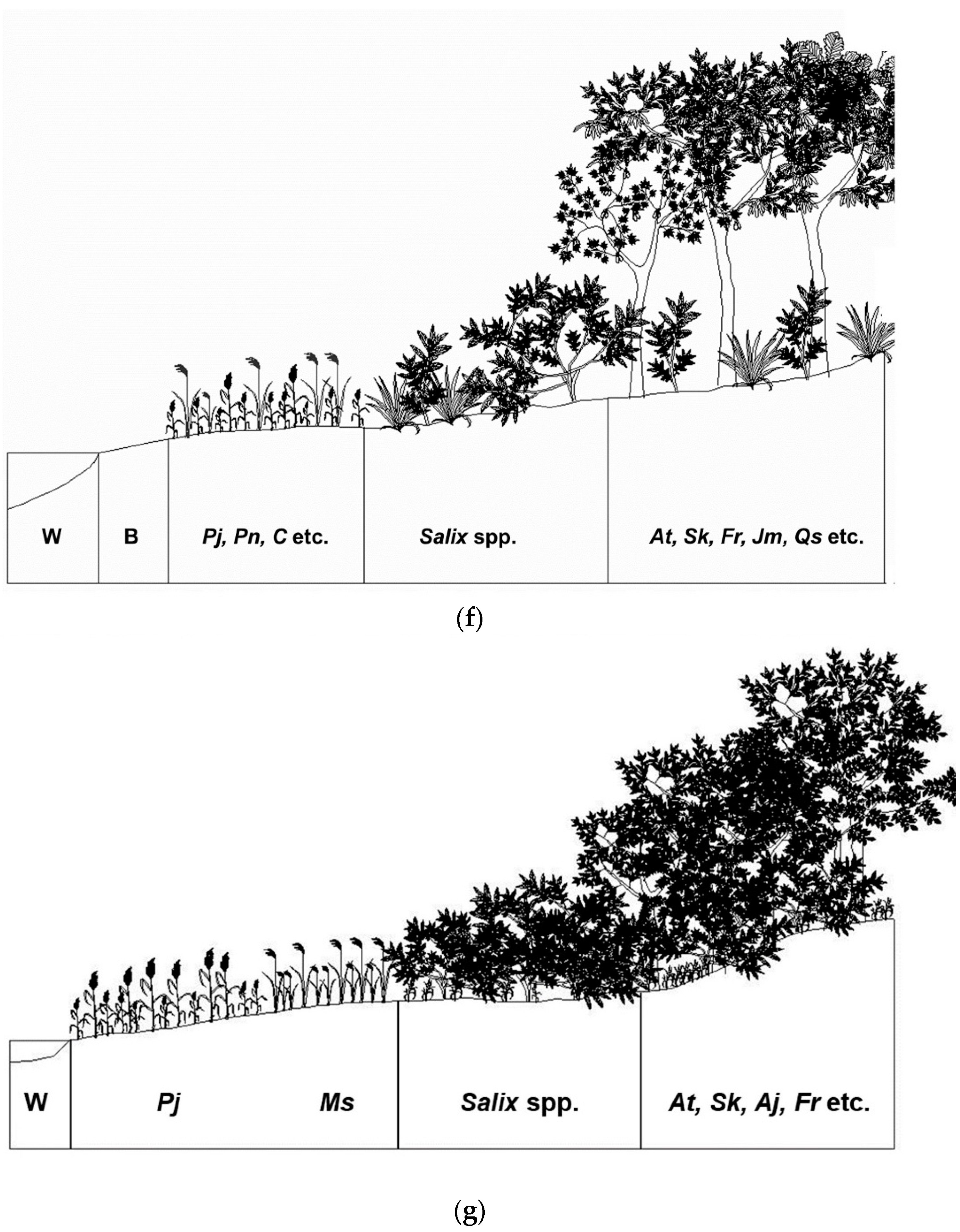 Water 14 02739 g003d Water 14 02739 g003d