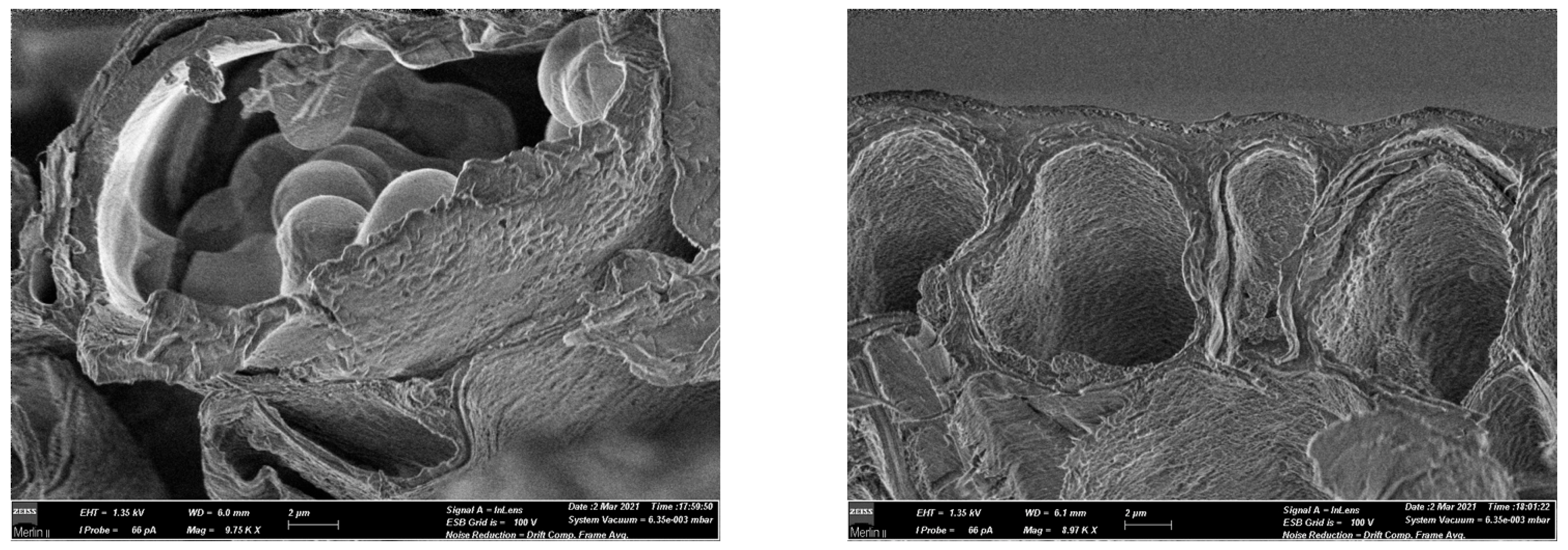 Water 14 02856 g003b Water 14 02856 g003b