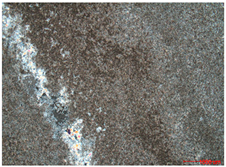 Water 14 03160 i002 Water 14 03160 i002