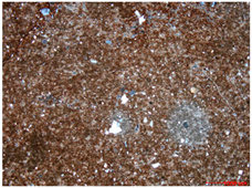 Water 14 03160 i004 Water 14 03160 i004