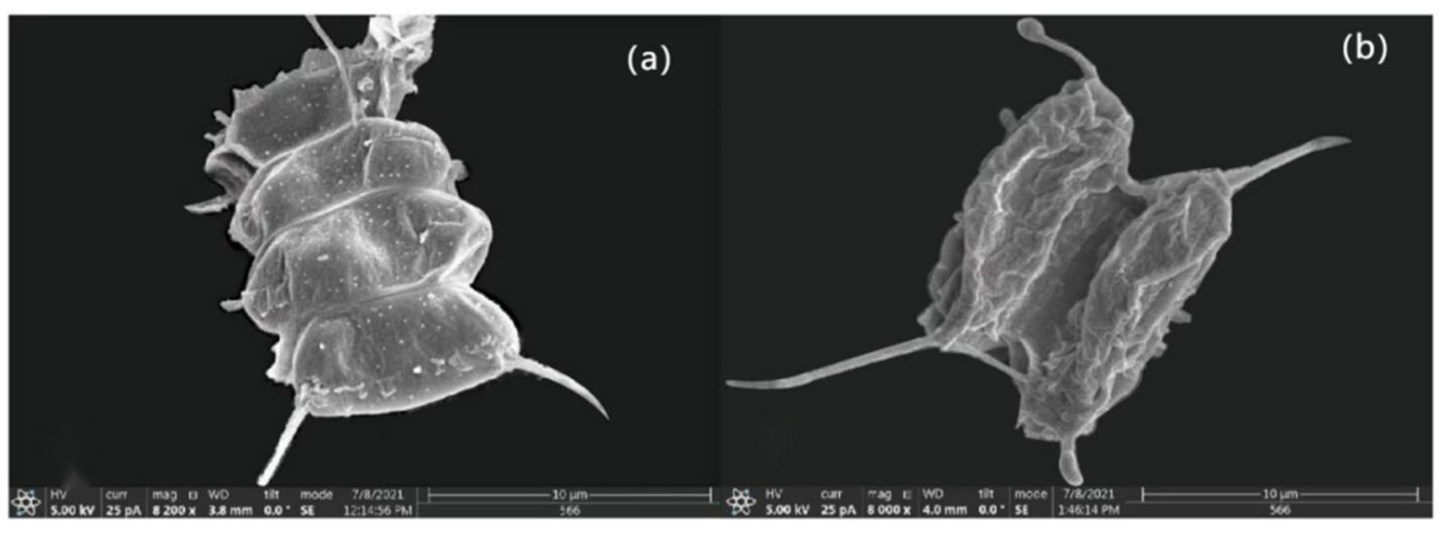 Water 14 03228 g002 Water 14 03228 g002