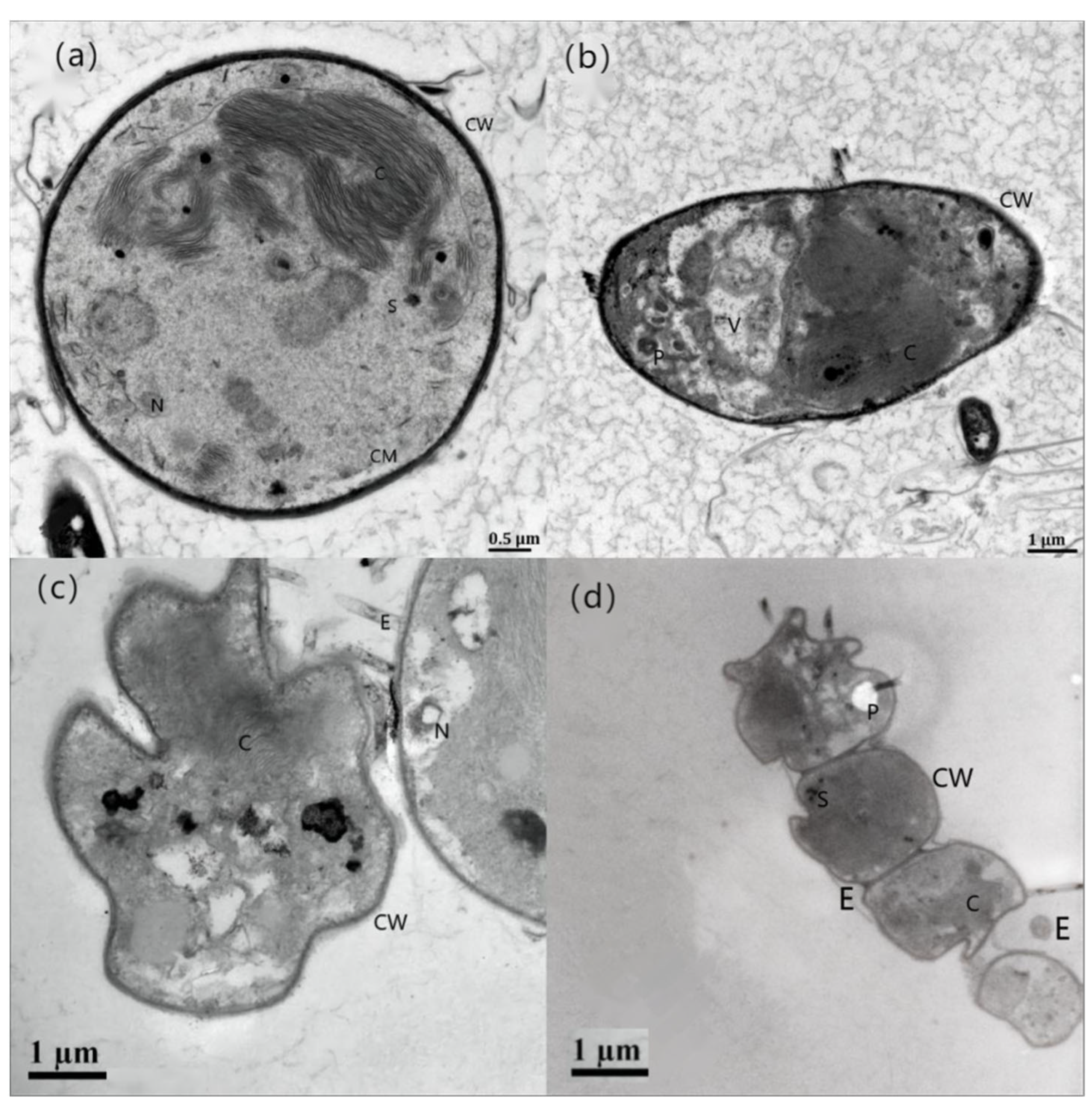 Water 14 03228 g003 Water 14 03228 g003