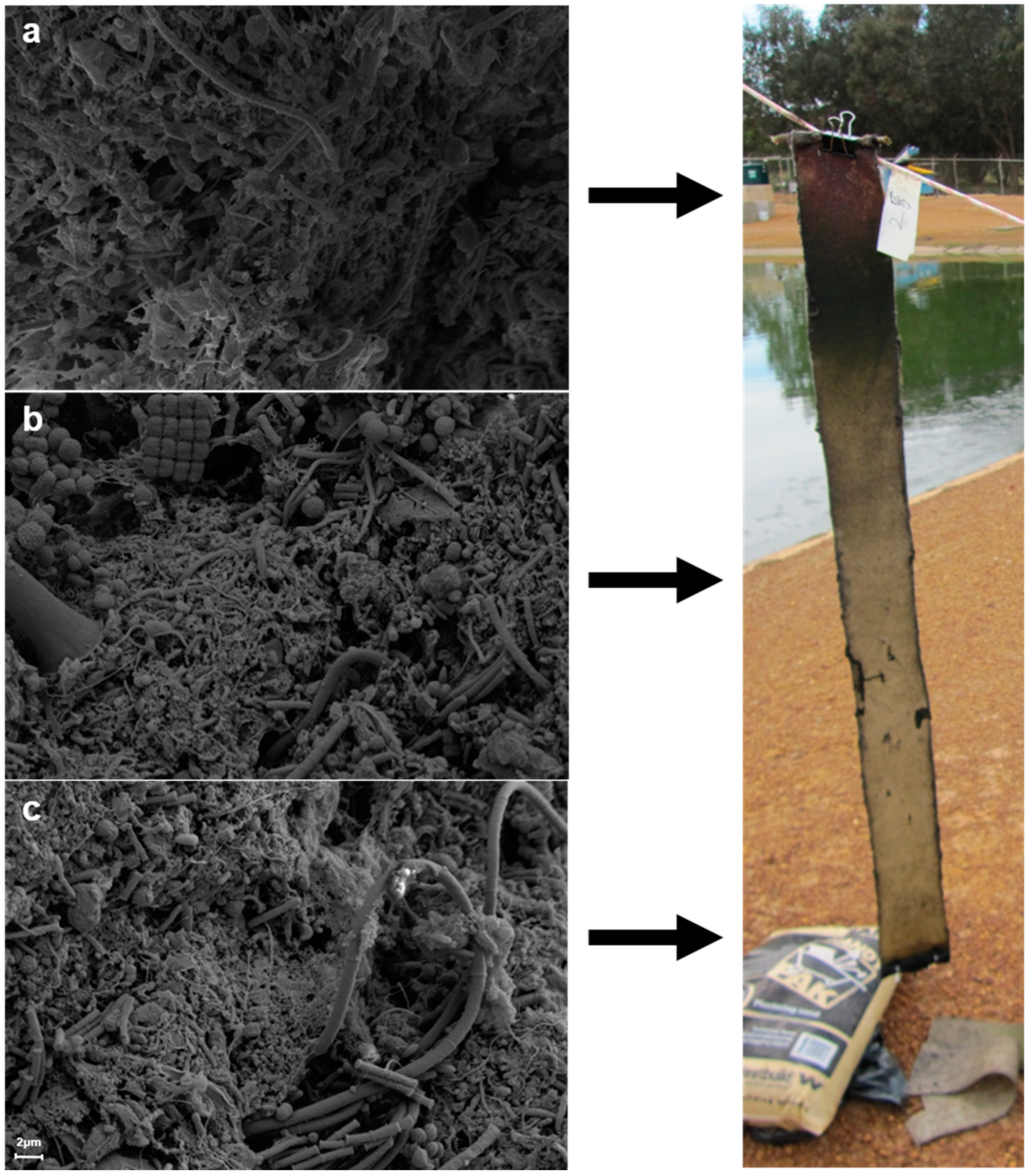 Water 14 03245 g005 Water 14 03245 g005