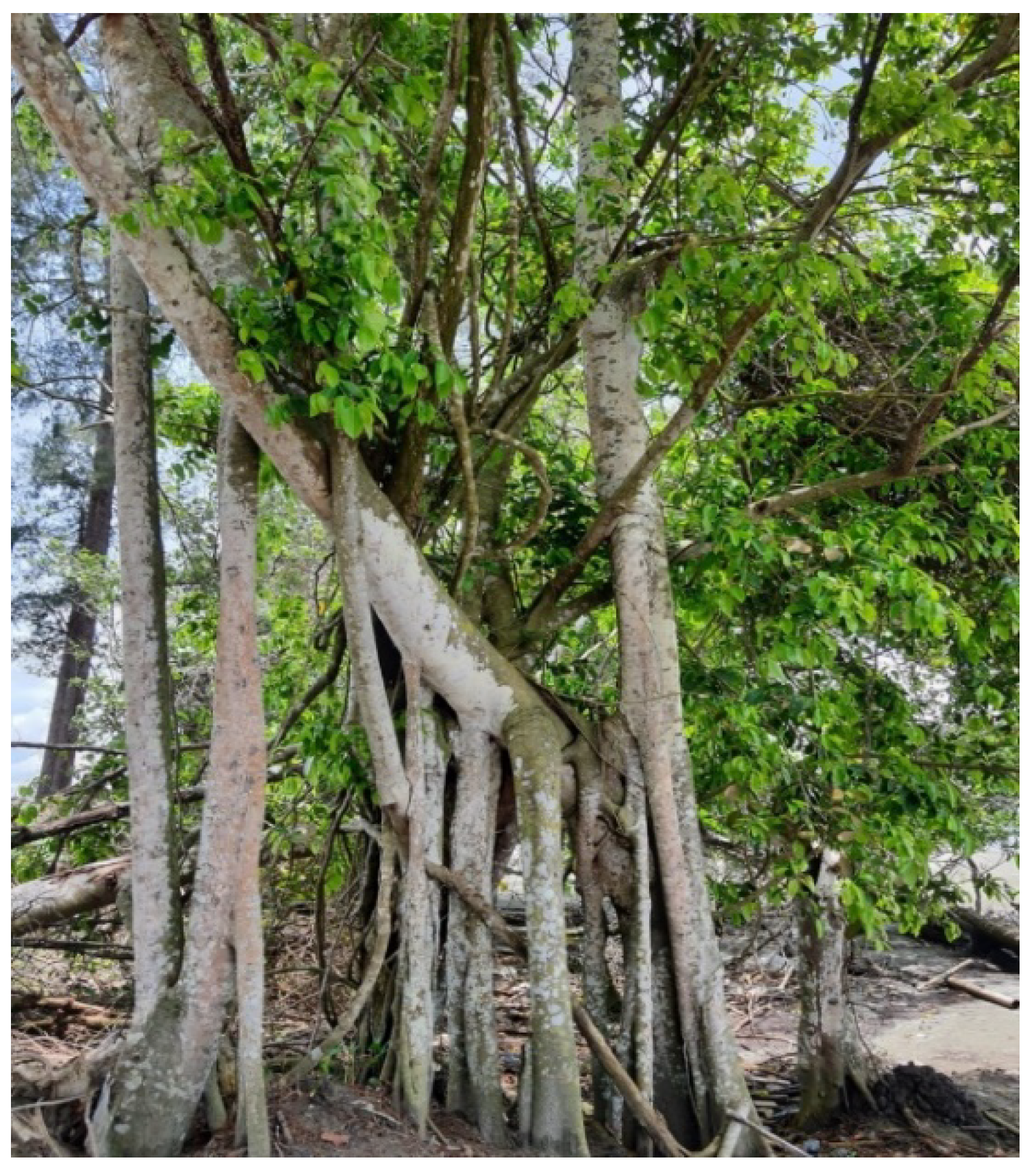 Water 14 03516 g005 Water 14 03516 g005