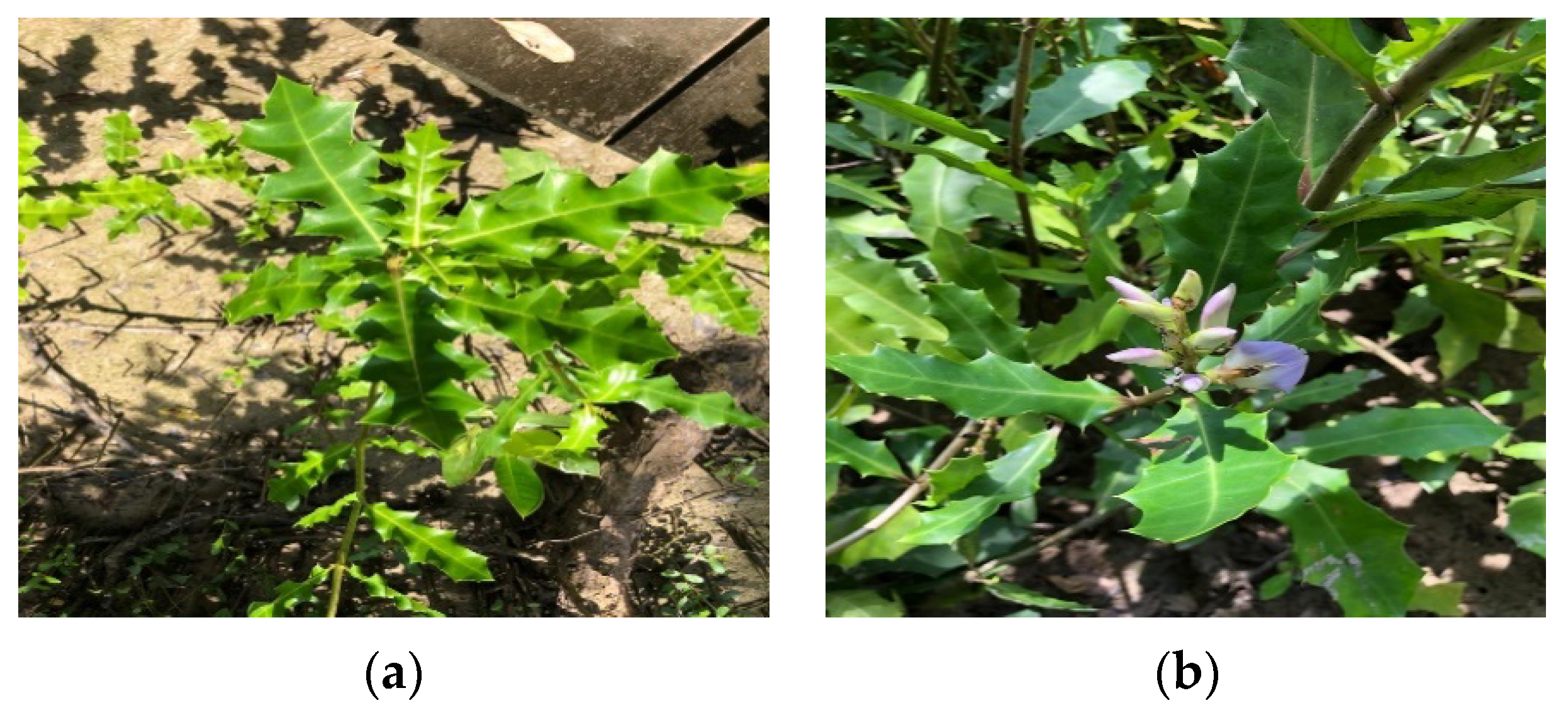 Water 14 03516 g008 Water 14 03516 g008