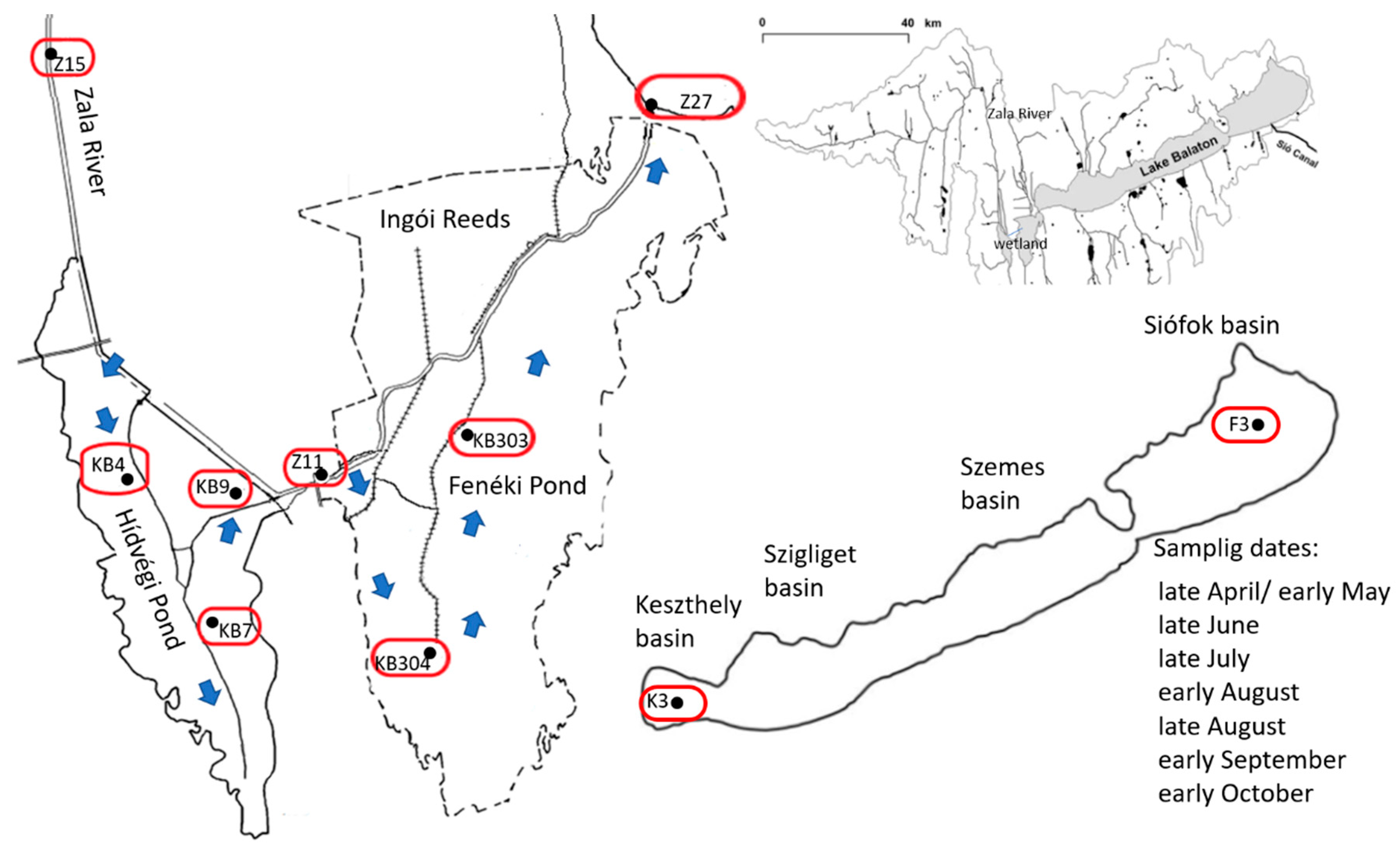 Water 14 03519 g001 Water 14 03519 g001