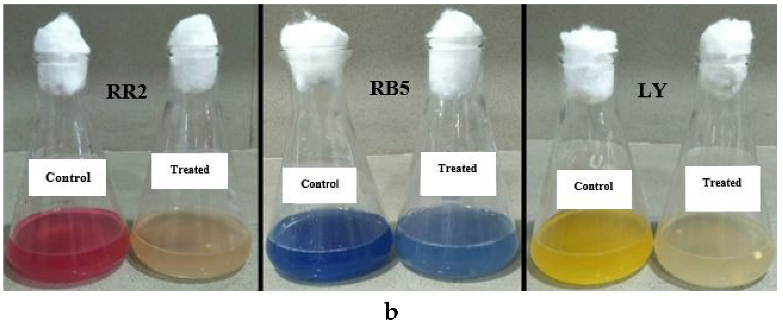 Water 14 03553 g004b