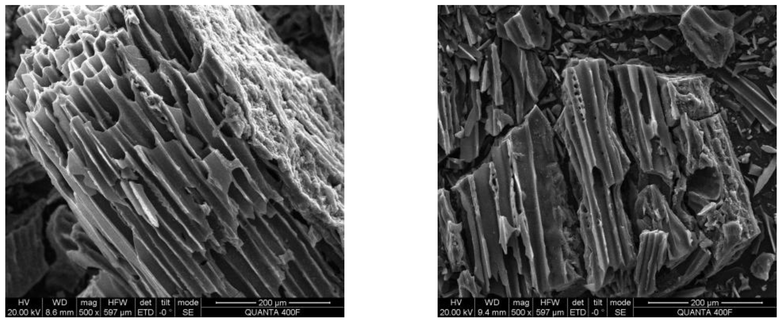 Water 14 03554 g002 Water 14 03554 g002