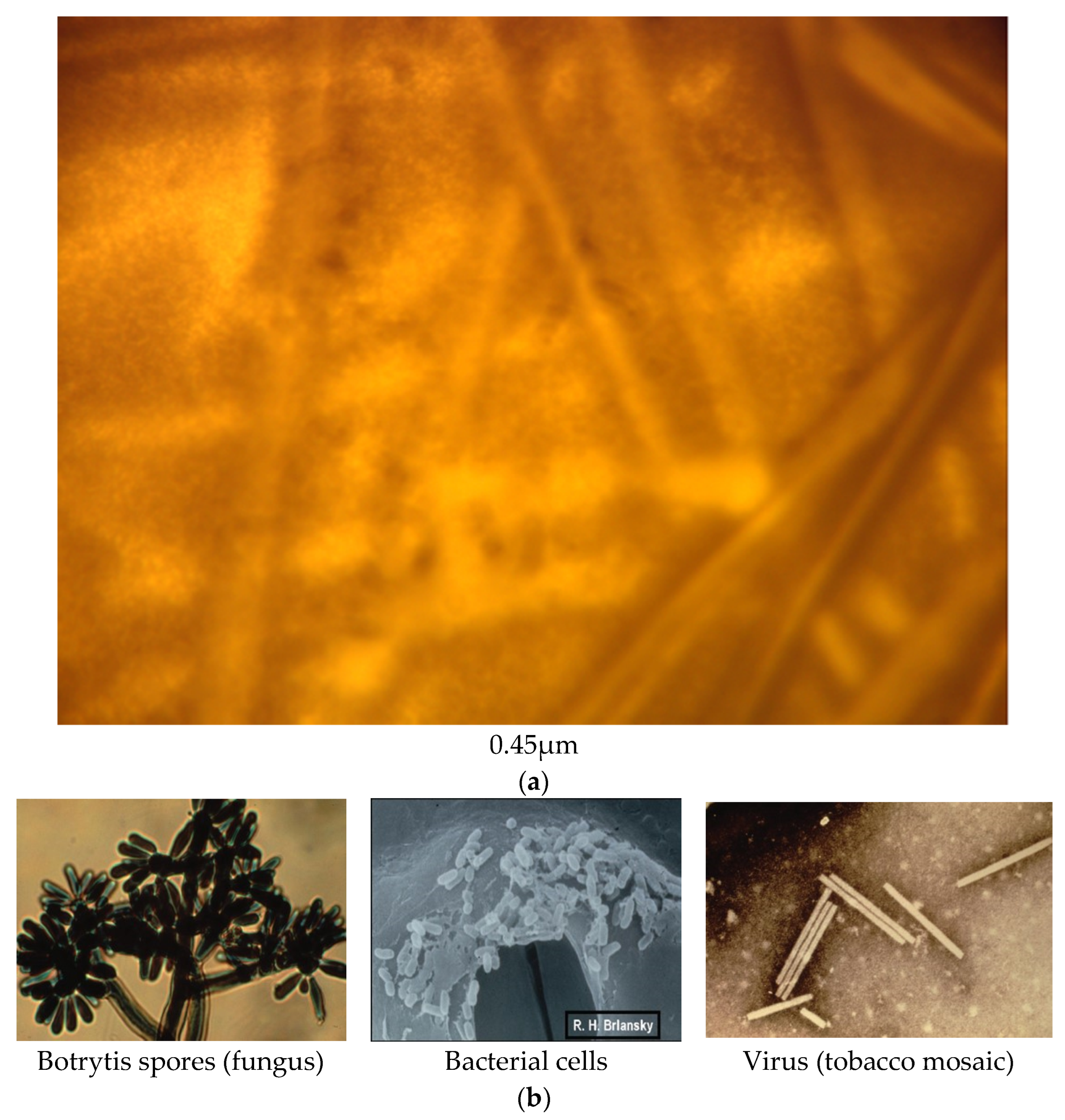 Water 14 03573 g002b