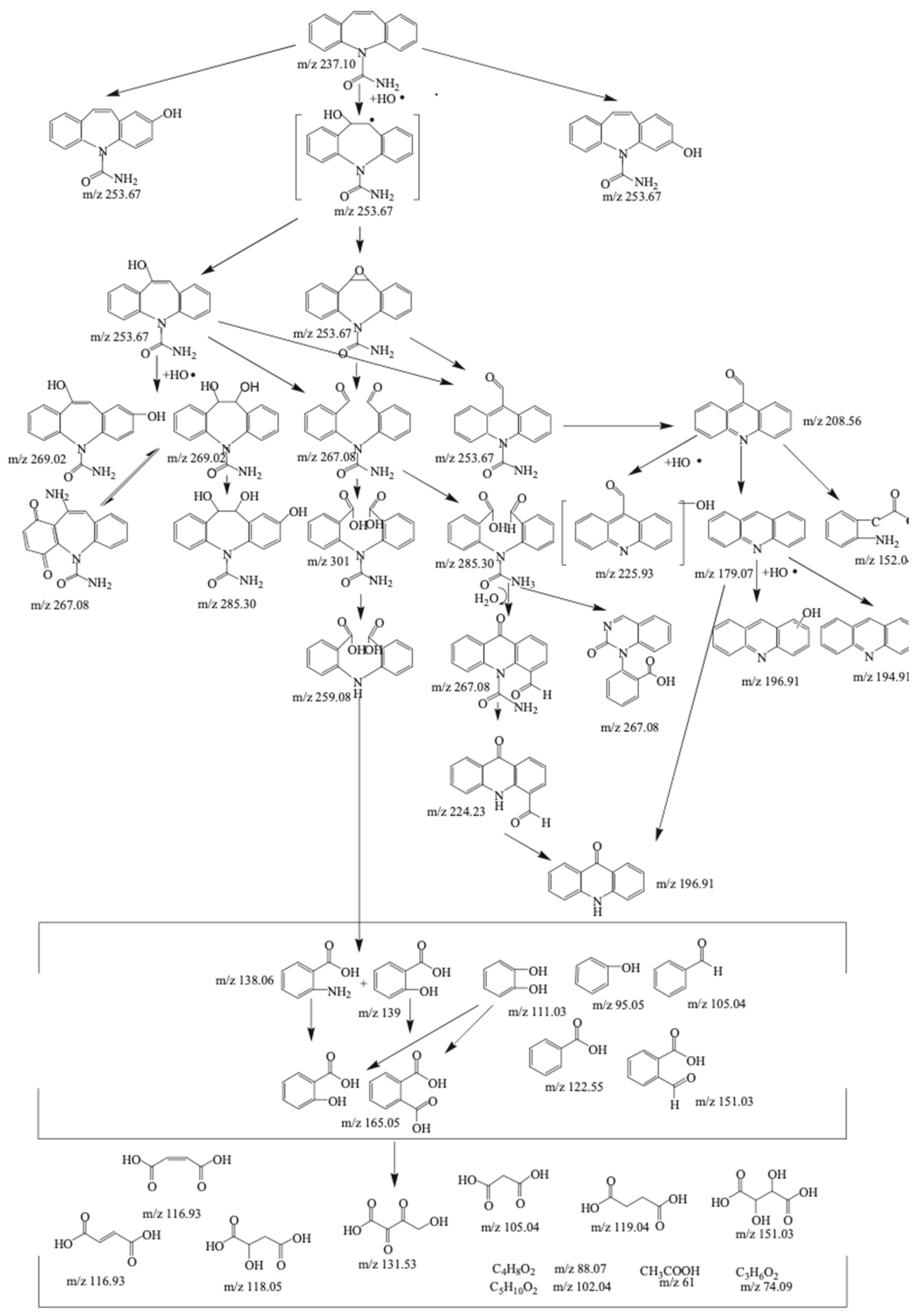 Water 14 03588 g003 Water 14 03588 g003