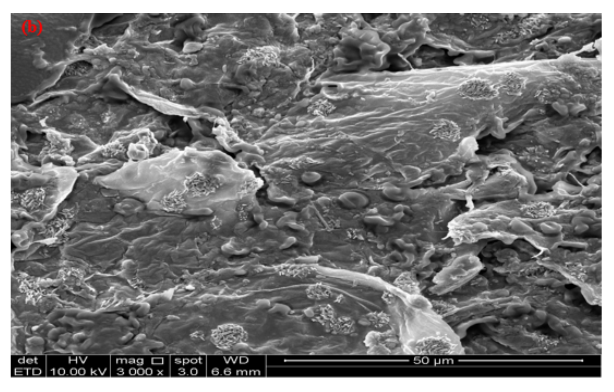 Water 14 03602 g005b Water 14 03602 g005b