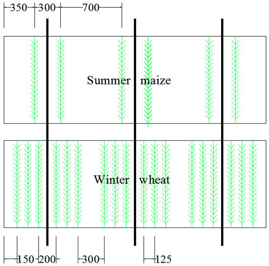 Water 14 03680 g002