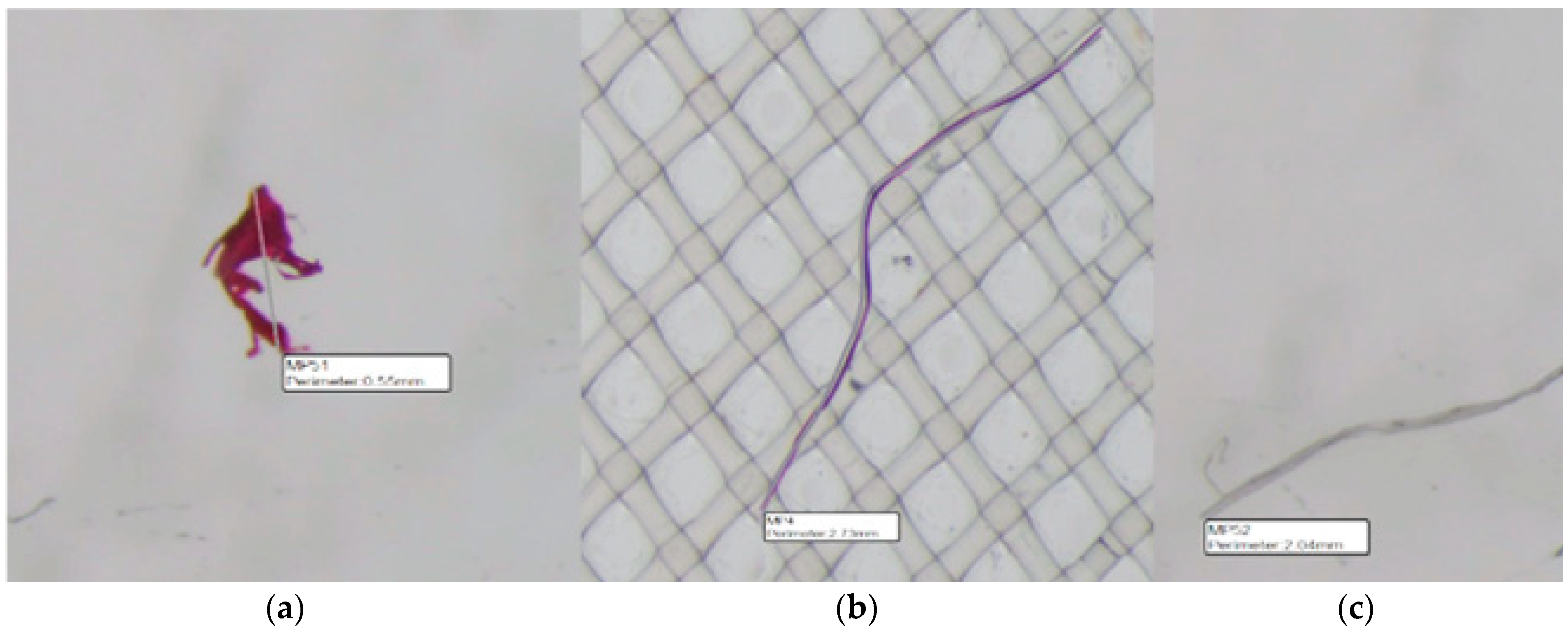 Water 14 03701 g003 Water 14 03701 g003