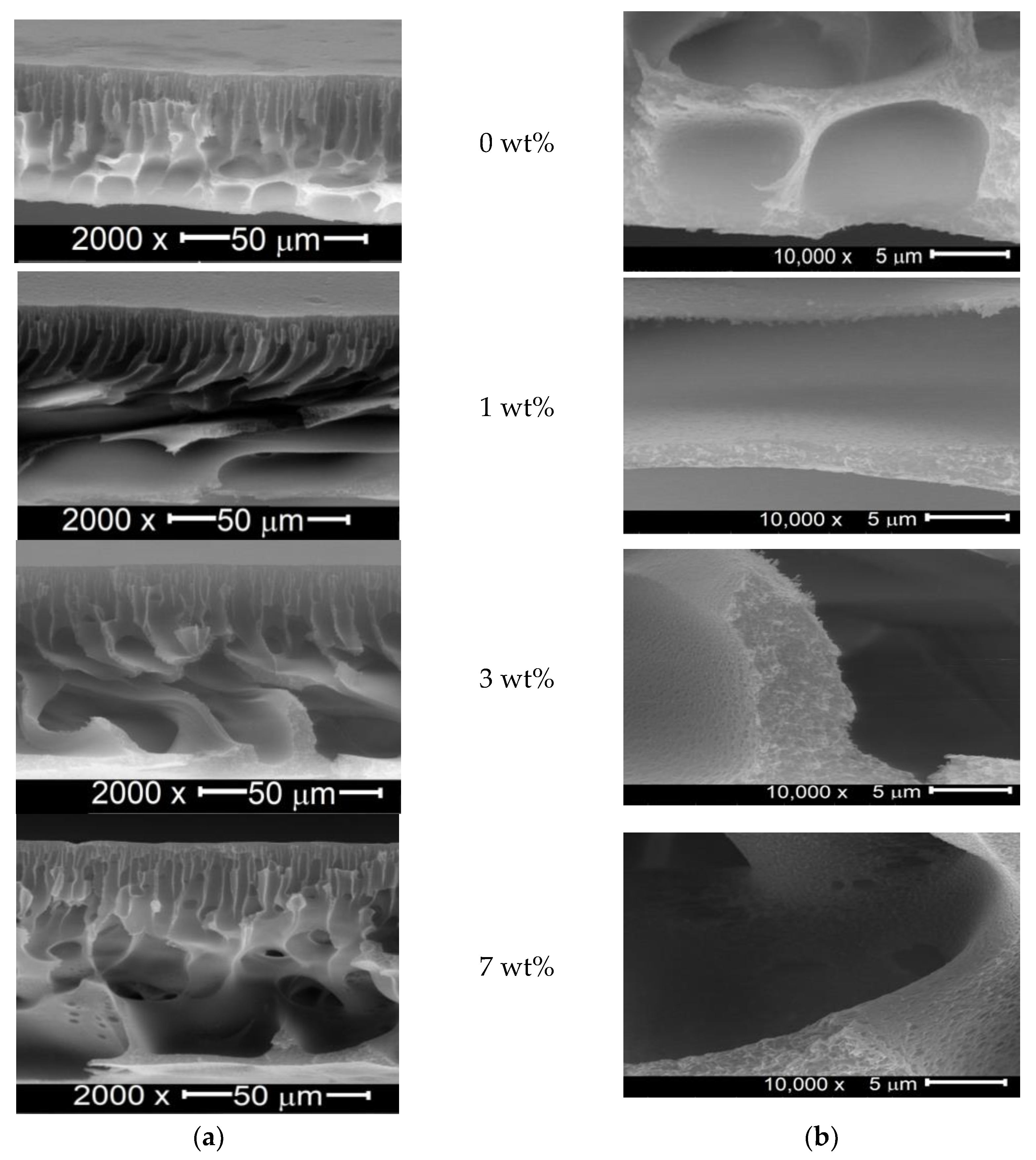 Water 14 03769 g002 Water 14 03769 g002