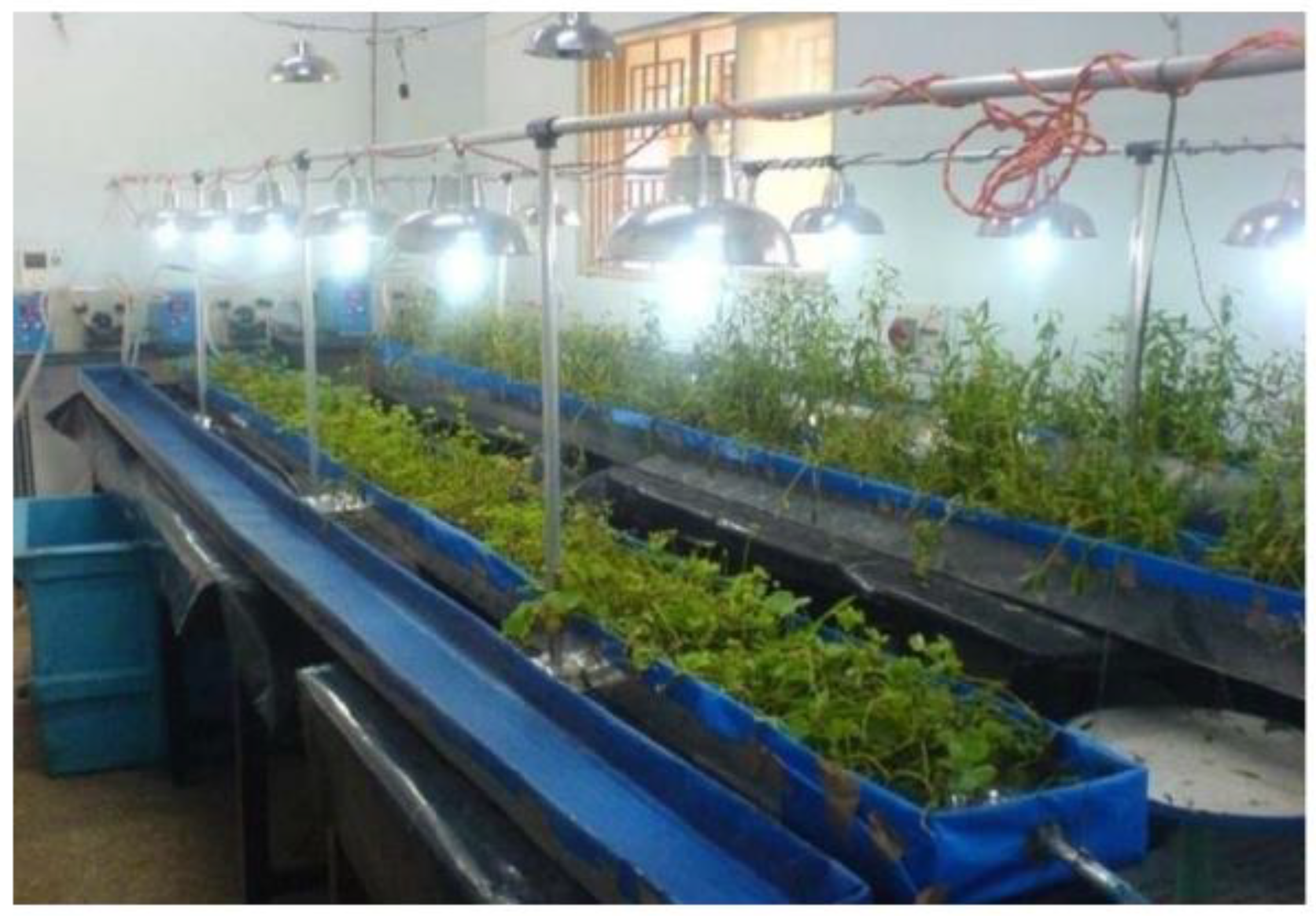 Water 14 03789 g003 Water 14 03789 g003