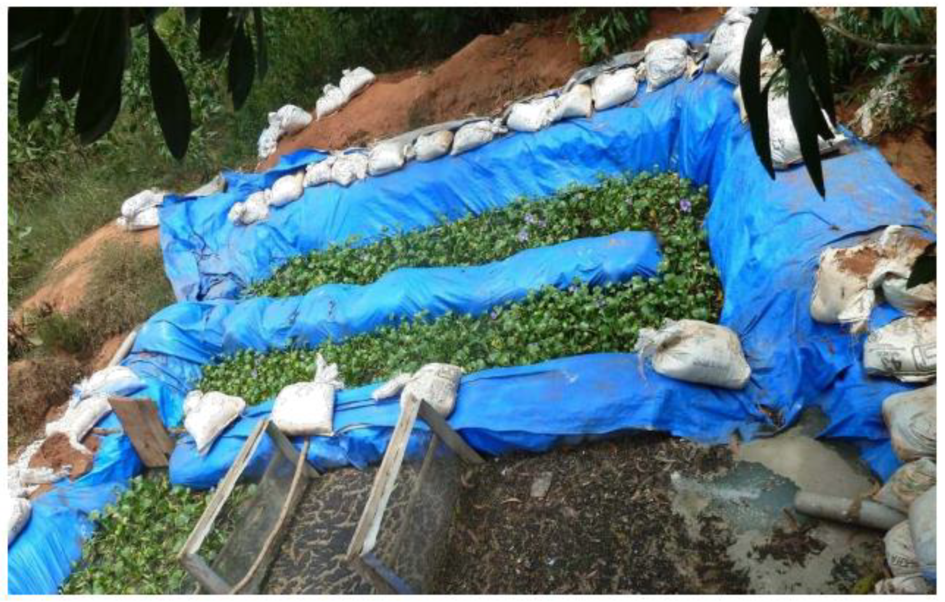 Water 14 03789 g006 Water 14 03789 g006