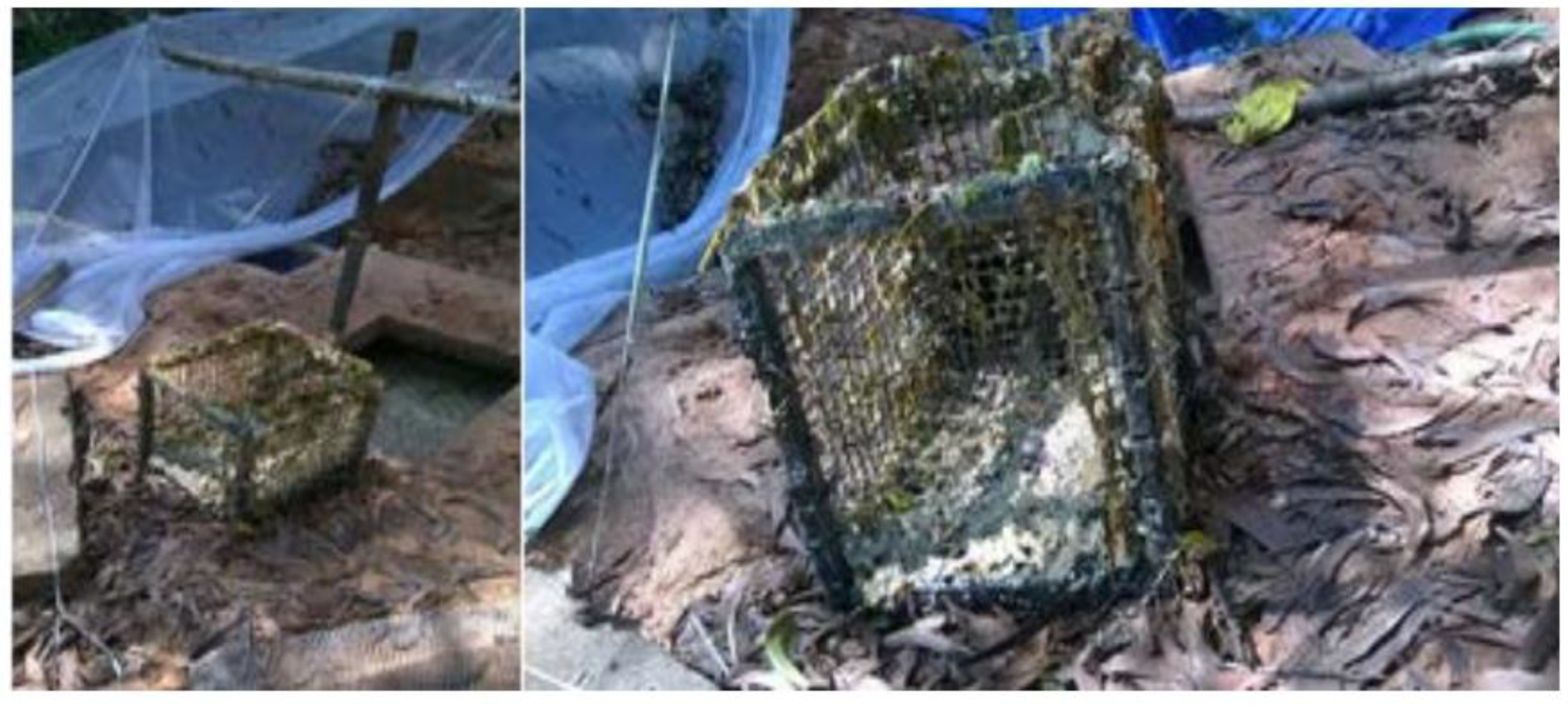 Water 14 03789 g007 Water 14 03789 g007