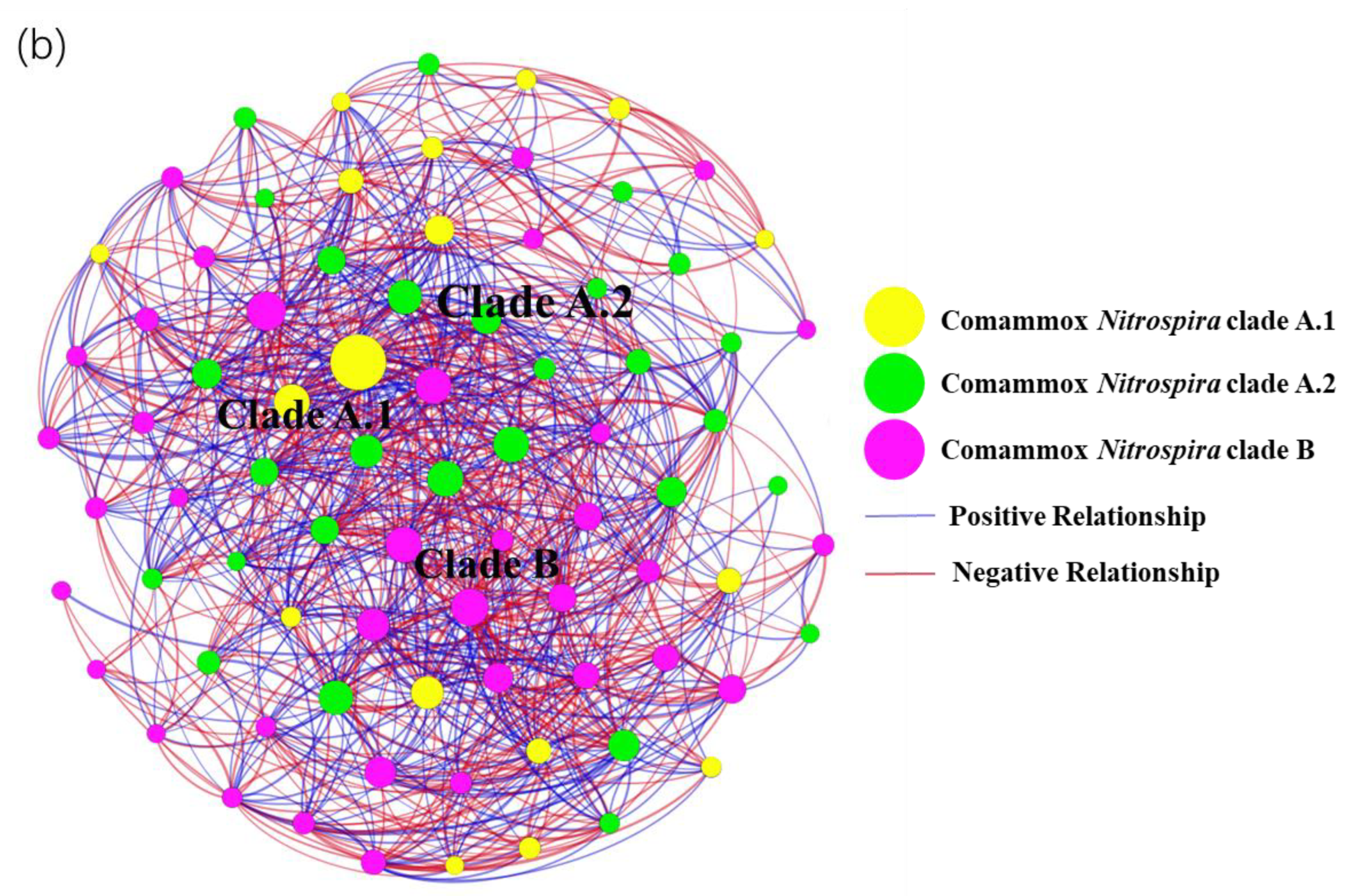 Water 14 04014 g005b