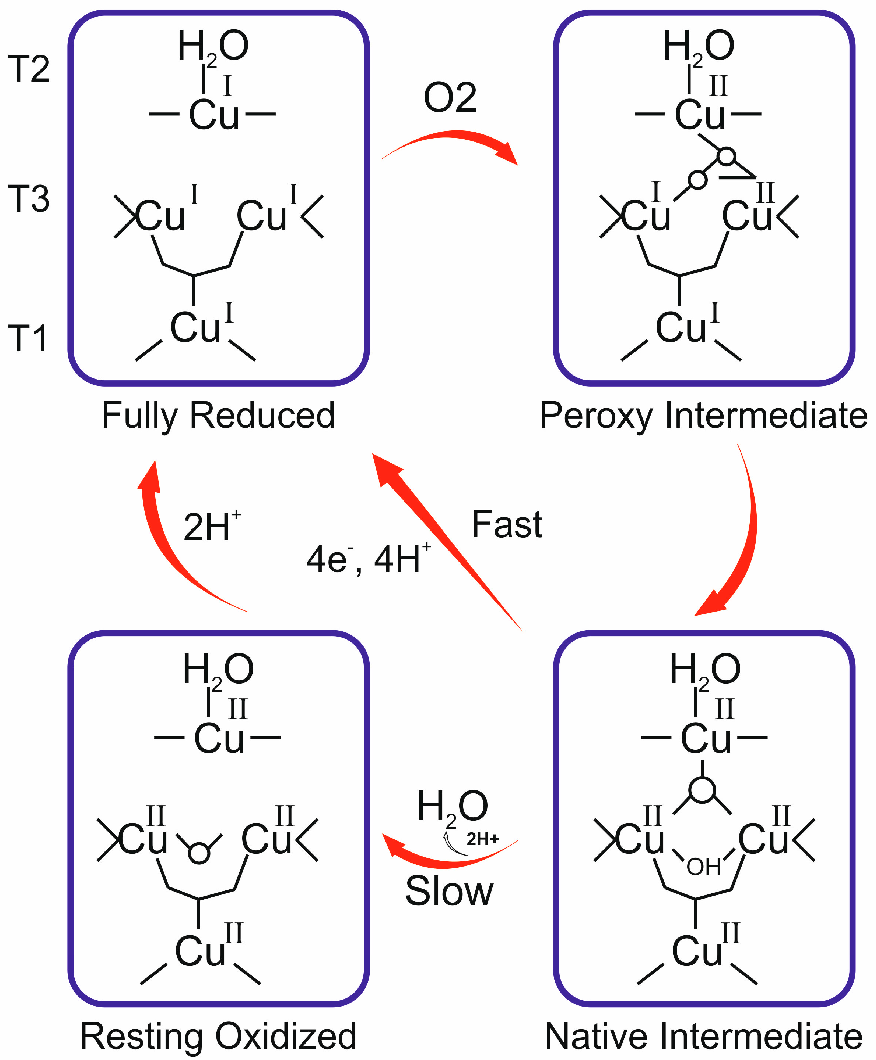 Water 14 04068 g001 Water 14 04068 g001